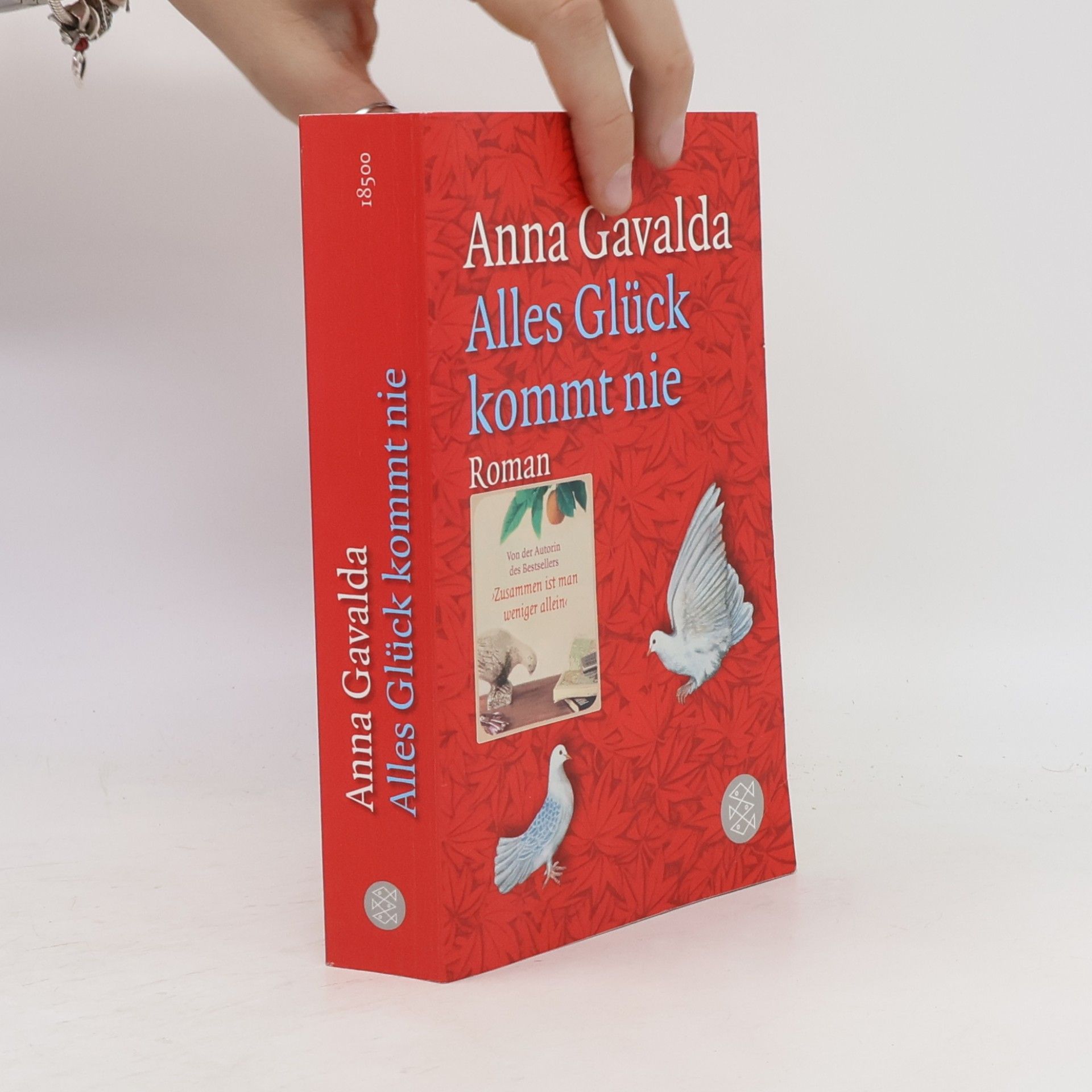 Anna Gavalda Alles Glück kommt nie