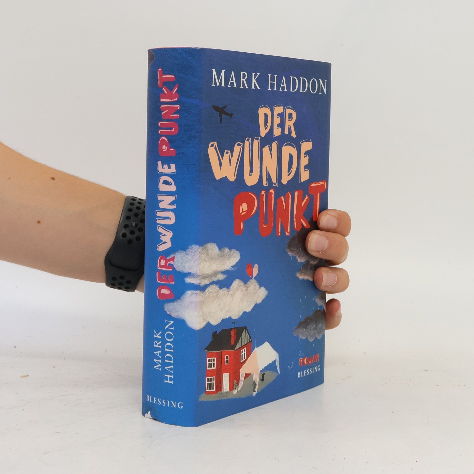 Mark Haddon Der wunde Punkt