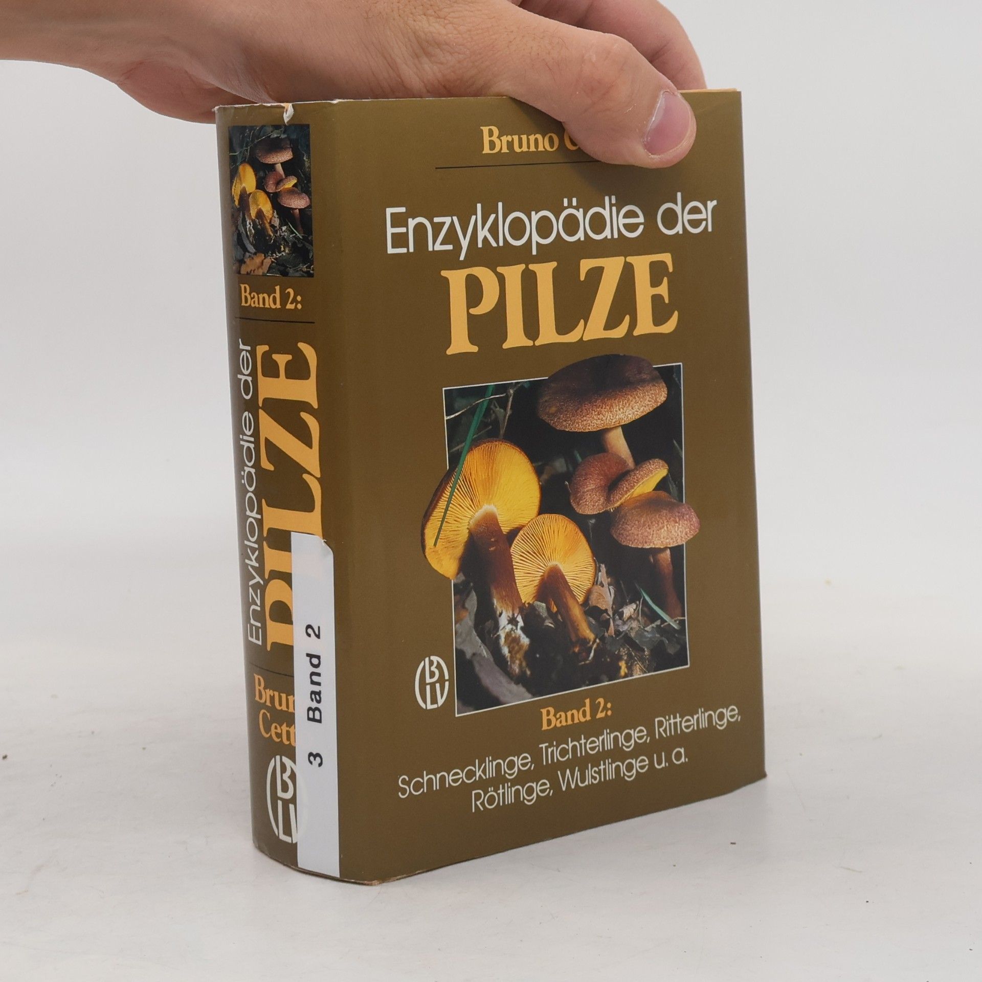 Bruno Cetto Enzyklopädie der Pilze