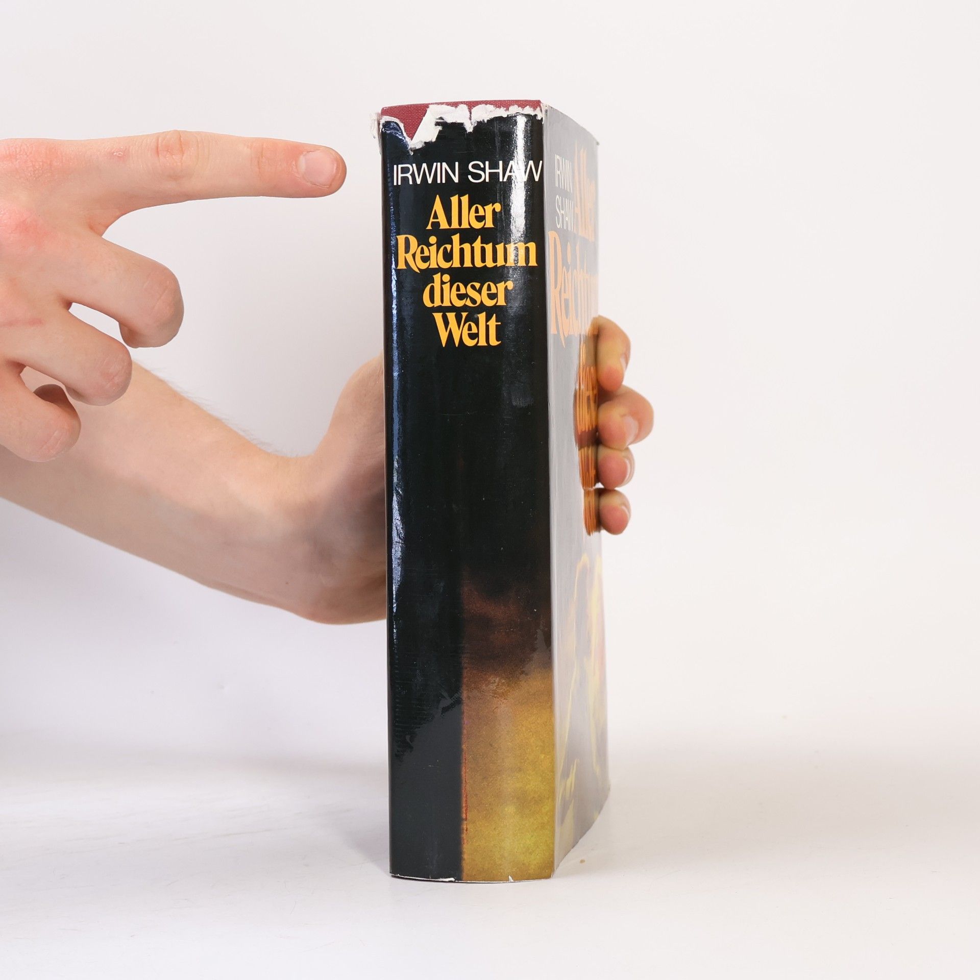 Irwin Shaw Aller Reichtum dieser Welt