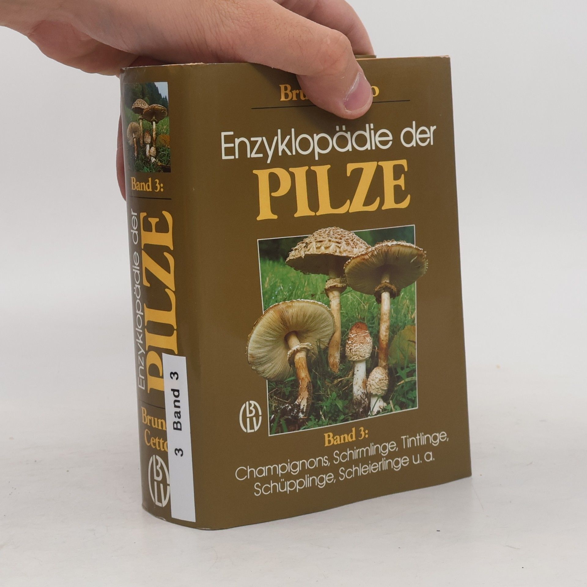 Bruno Cetto Enzyklopädie der Pilze