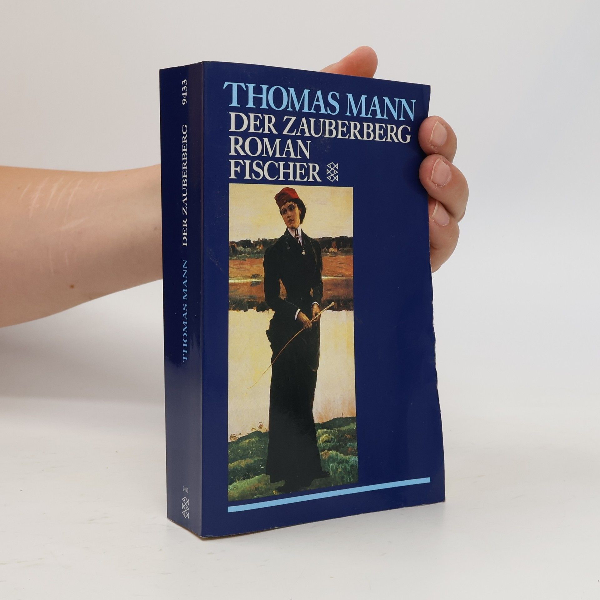 Thomas Mann Der Zauberberg