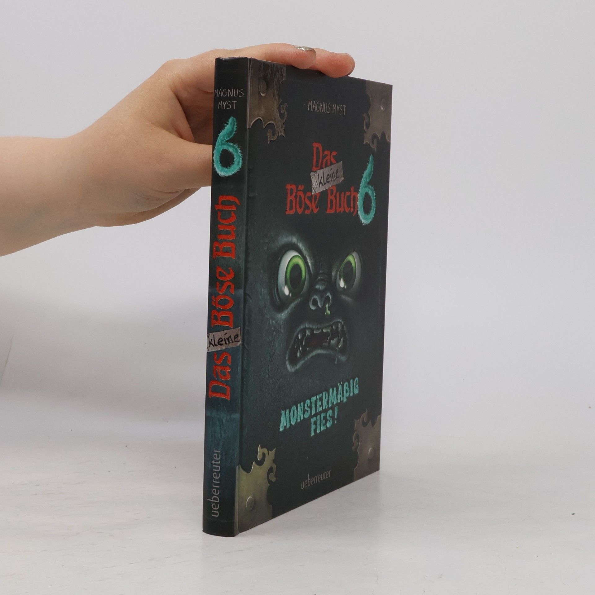Das kleine Böse Buch 6 (Das kleine Böse Buch, Bd. 6)