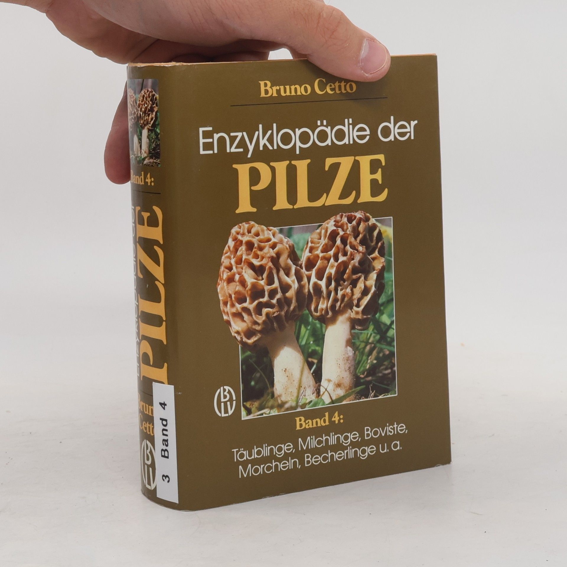 Enzyklopädie der Pilze
