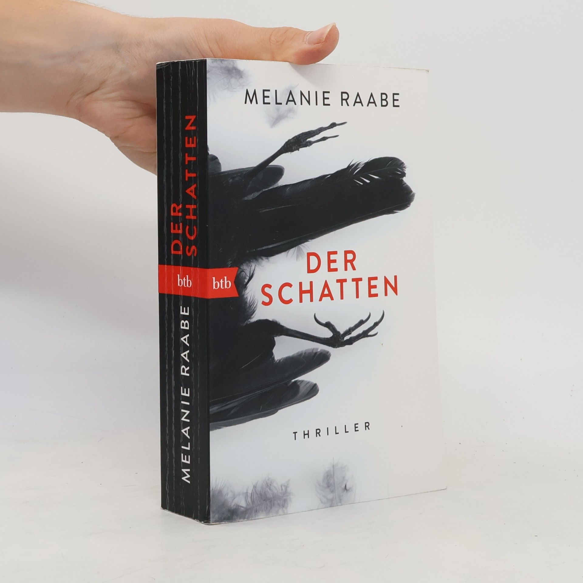 Melanie Raabe Der Schatten