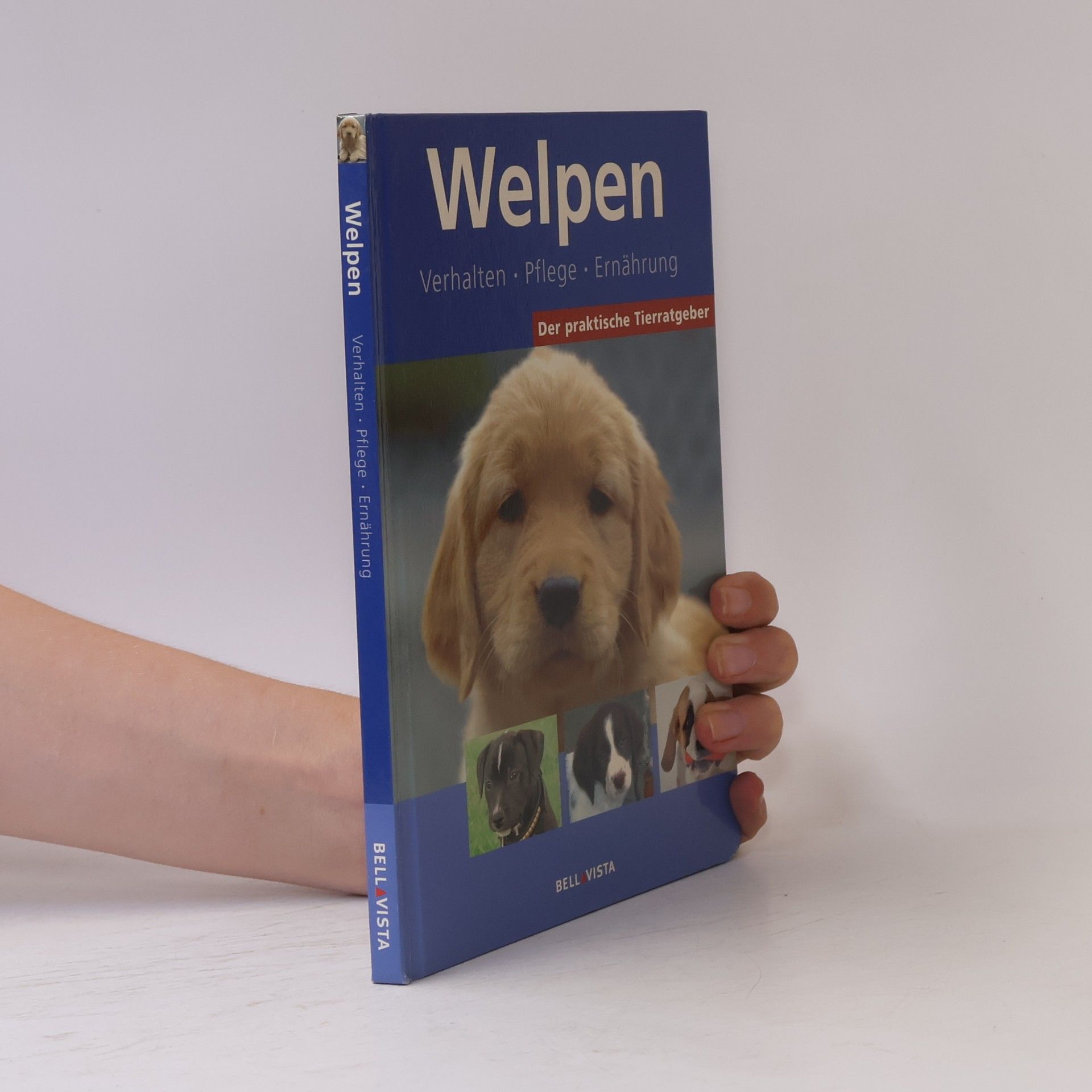Autorenkollektiv Welpen. Verhalten, Pflege, Ernährung