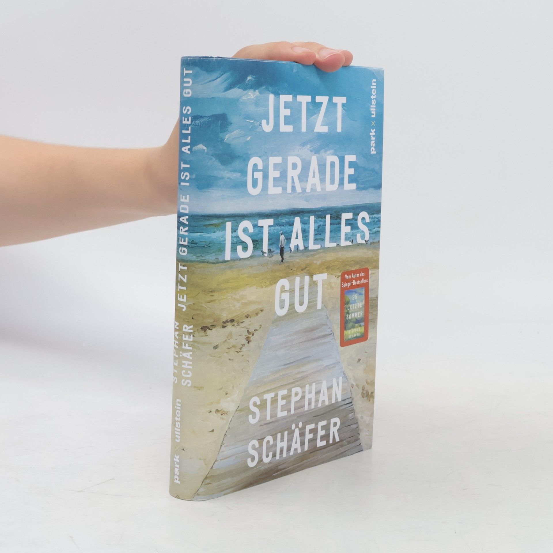 Stephan Schäfer Jetzt gerade ist alles gut