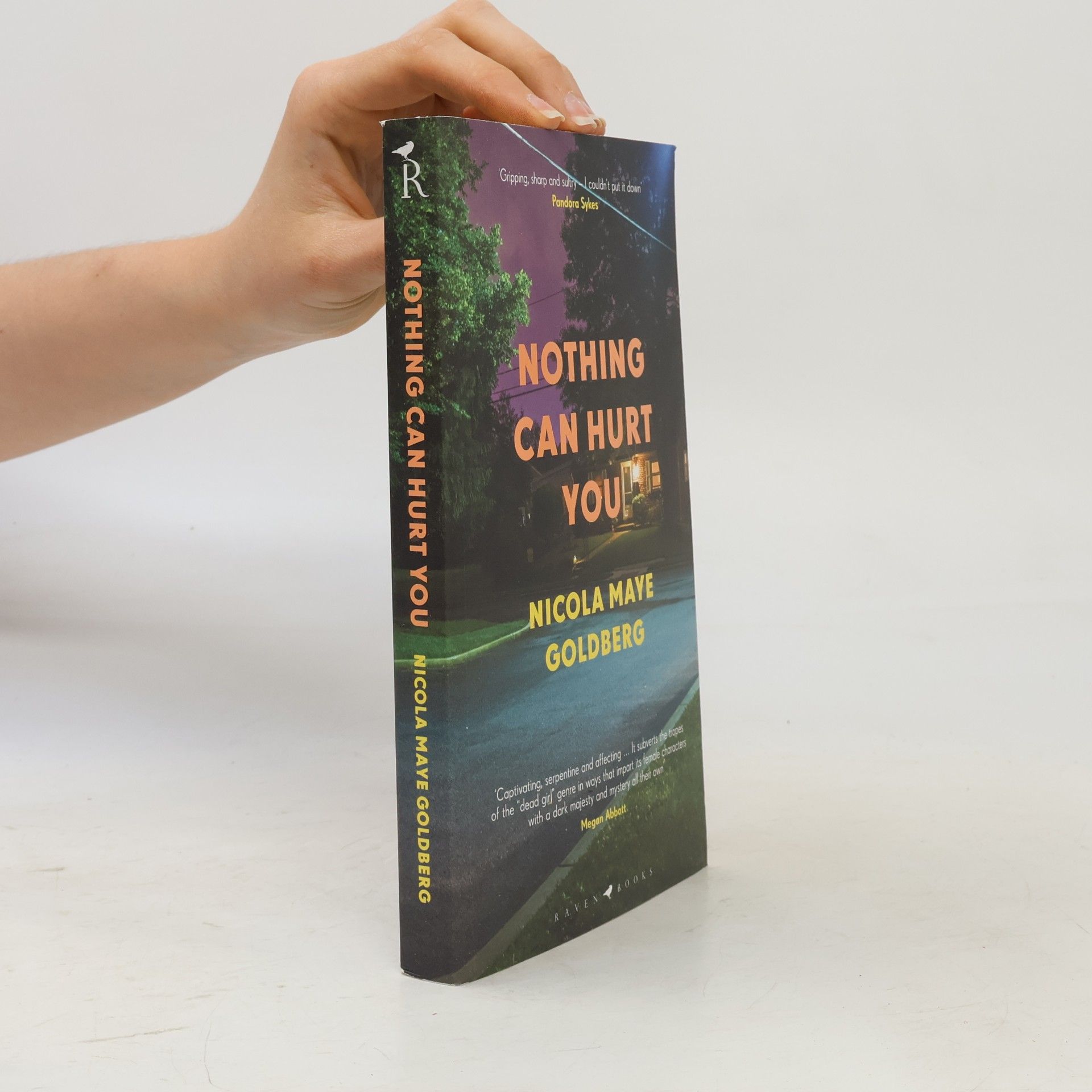 Nicola Maye Goldberg Nothing Can Hurt You