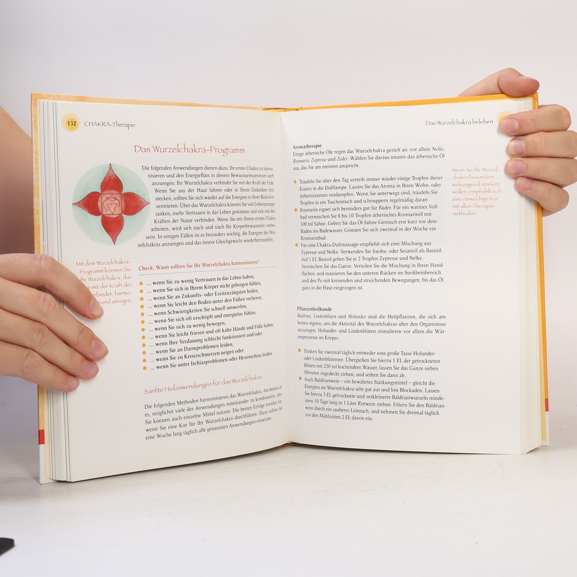 Kalashatra Govinda Chakra-Praxisbuch