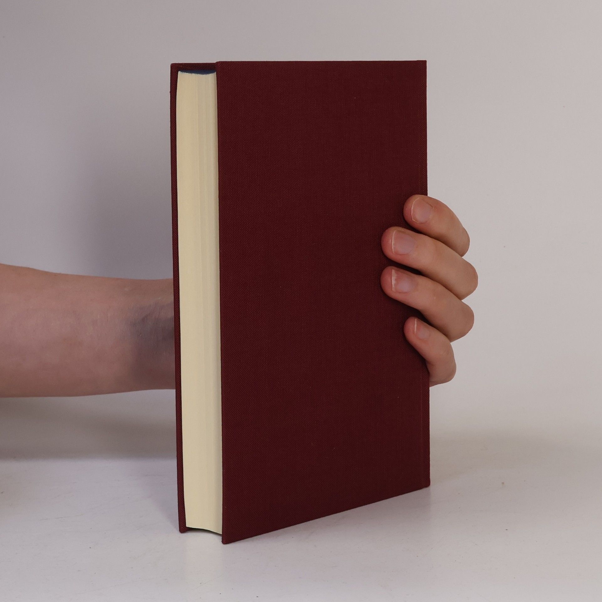 Theodor Storm Die Bibliothek deutscher Klassiker 49