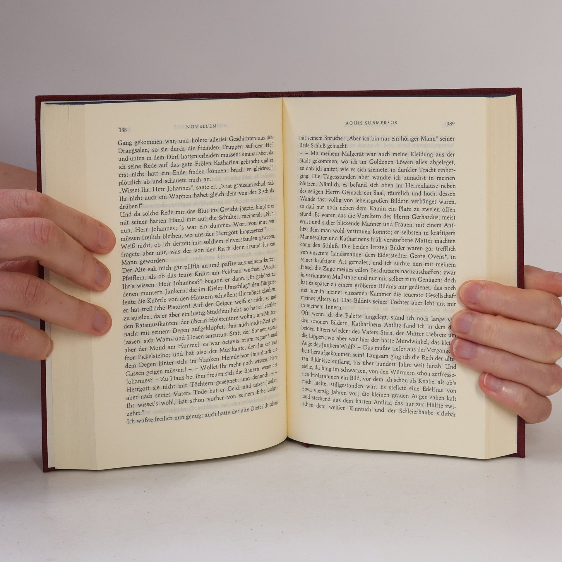 Theodor Storm Die Bibliothek deutscher Klassiker 49