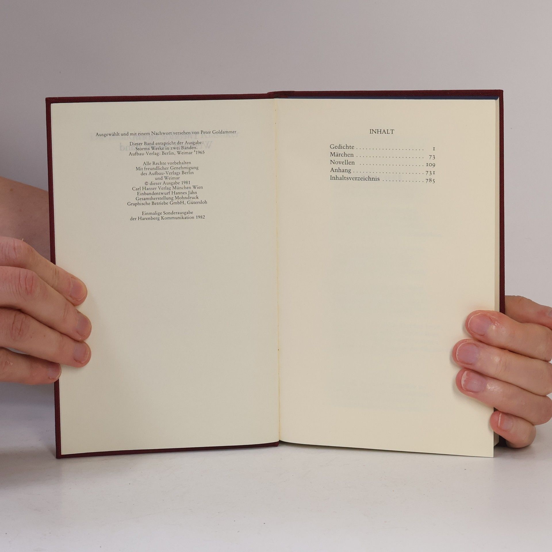 Theodor Storm Die Bibliothek deutscher Klassiker 49