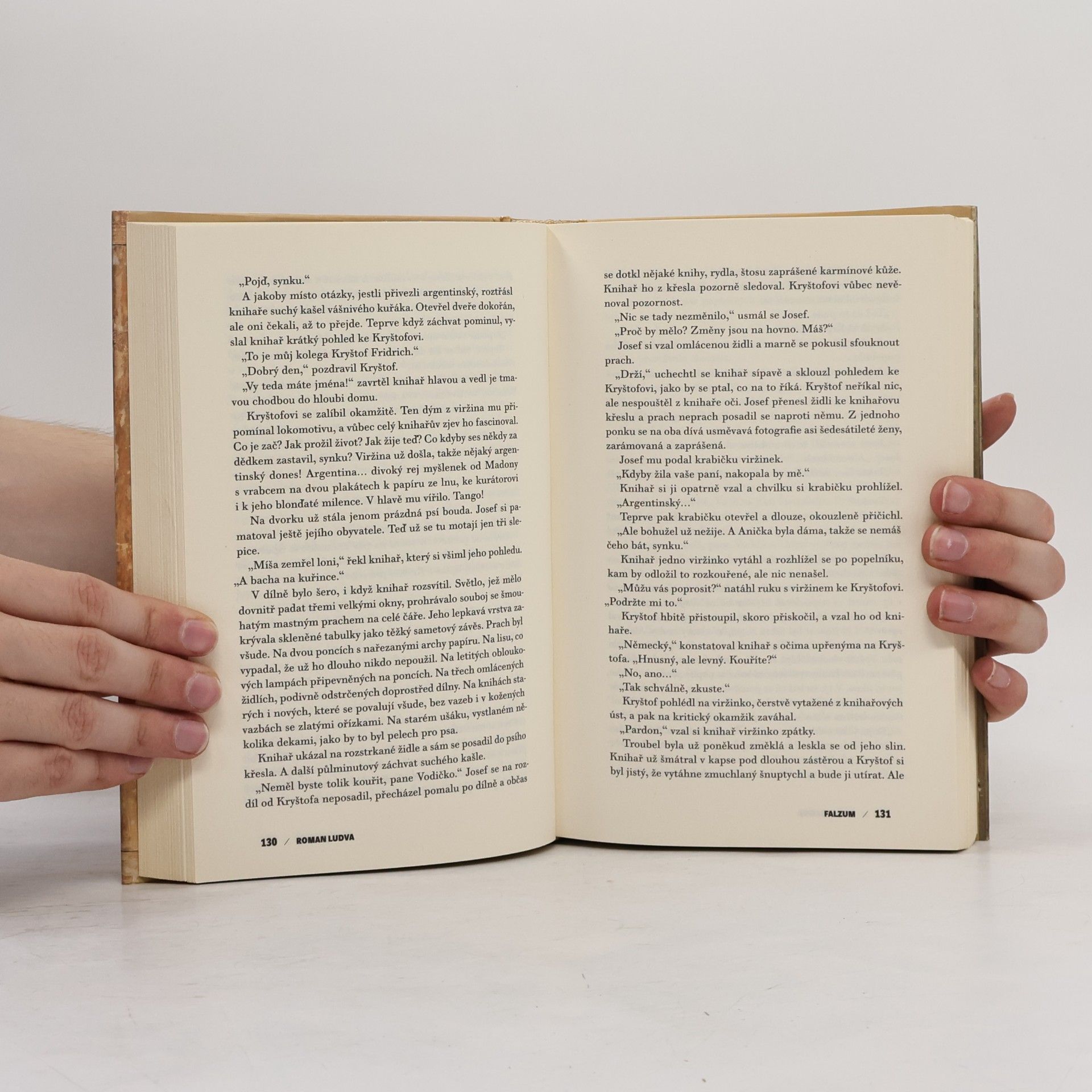 Roman Ludva Falzum