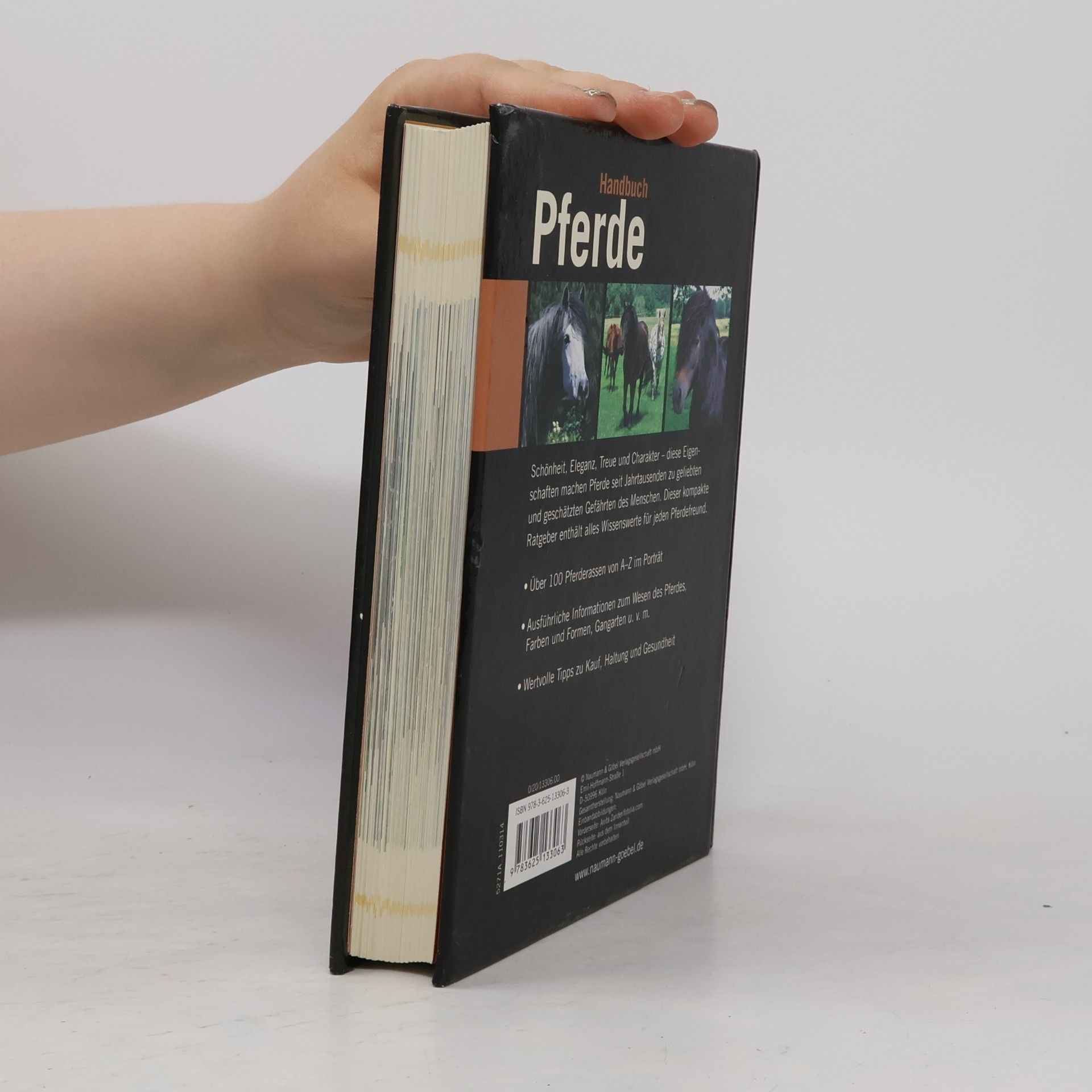 Saskia Brixner Handbuch Pferde