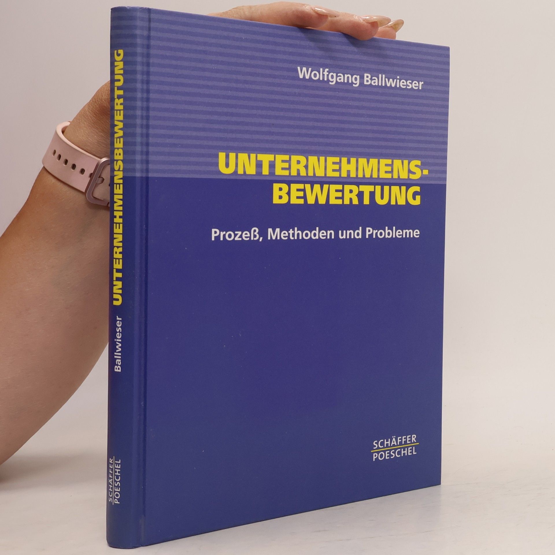 Wolfgang Ballwieser Unternehmensbewertung