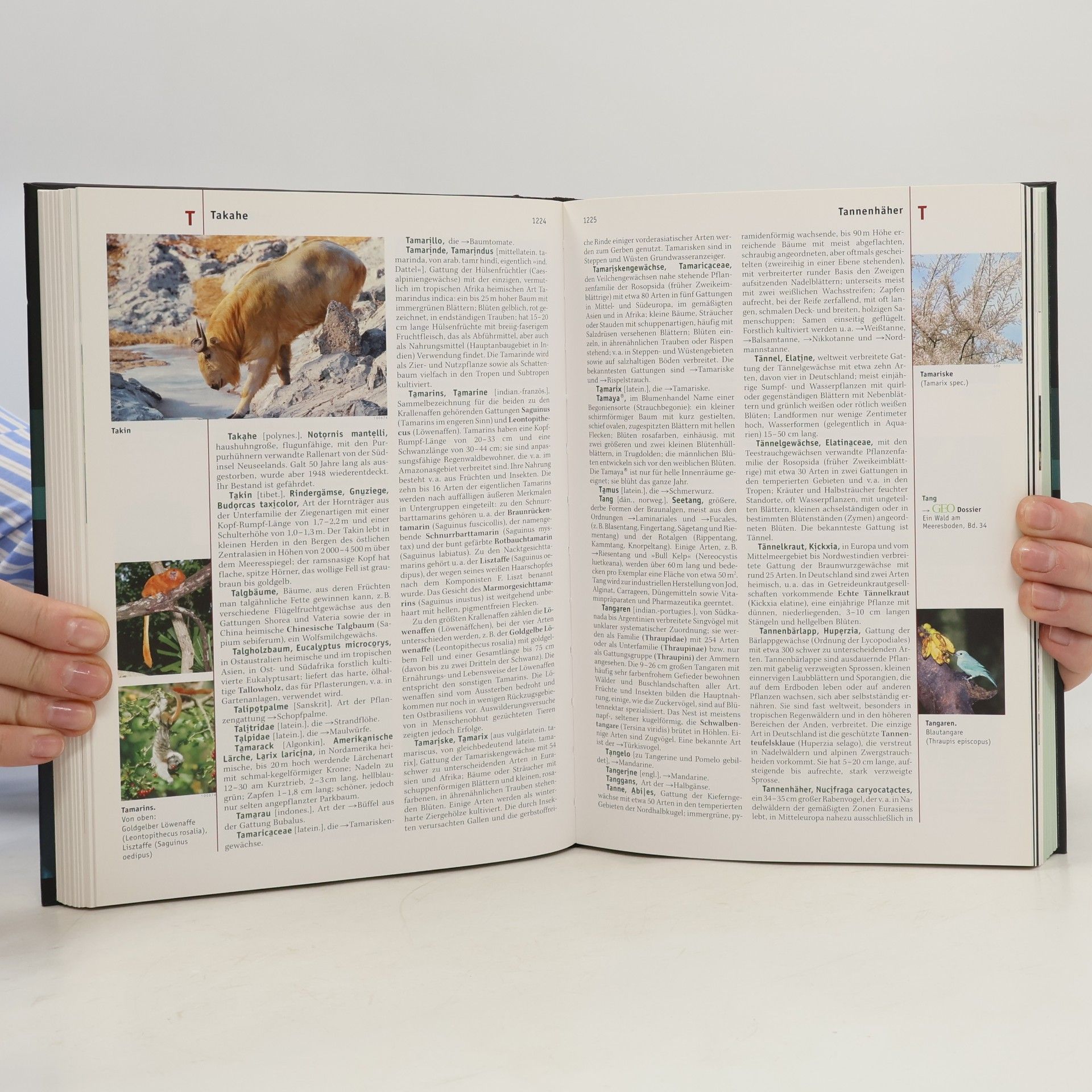 Peter Matthias Gaede GEO-Themenlexikon: Tiere und Pflanzen