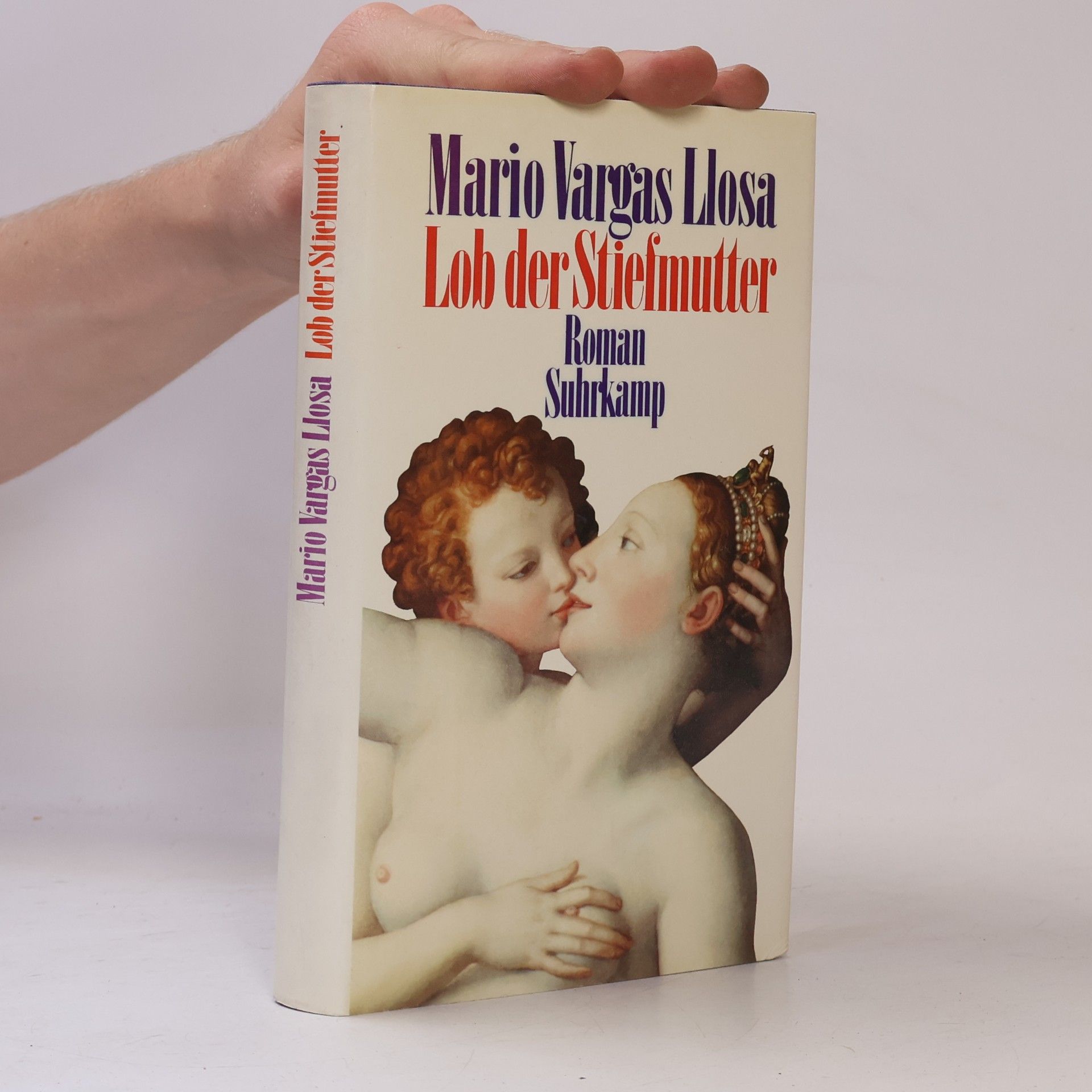 Mario Vargas Llosa Lob der Stiefmutter