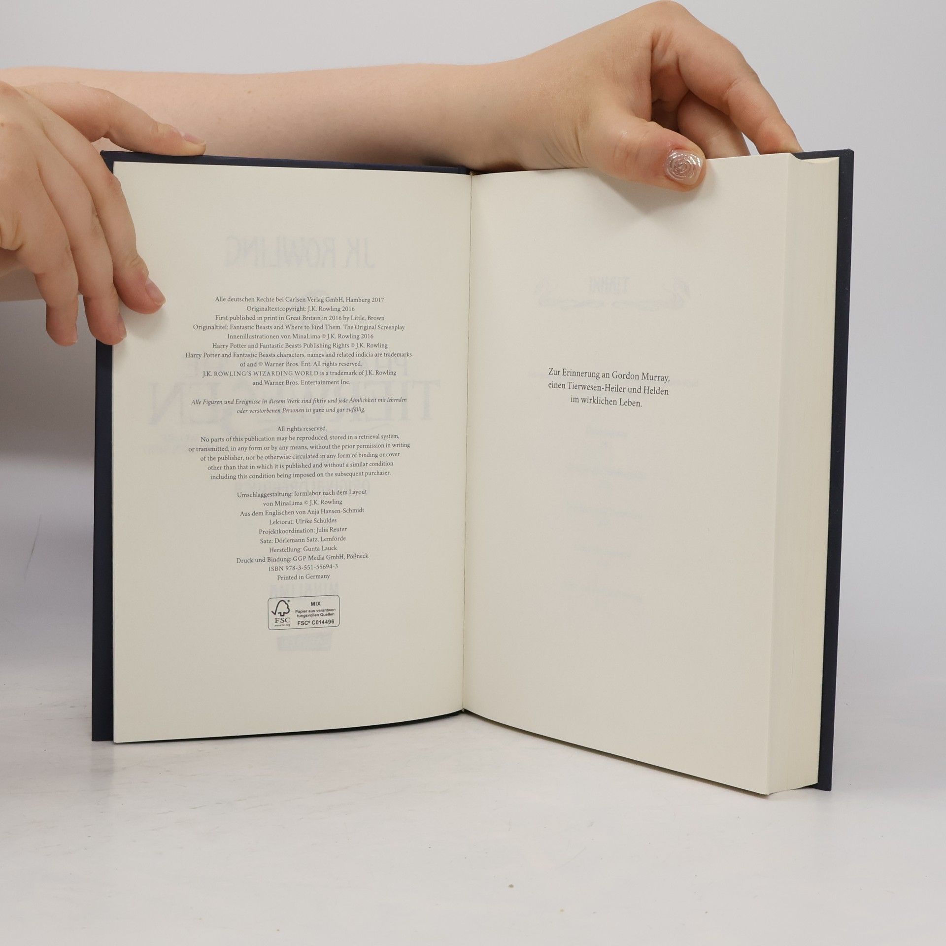 J. K. Rowling Phantastische Tierwesen und wo sie zu finden sind. Das Originaldrehbuch
