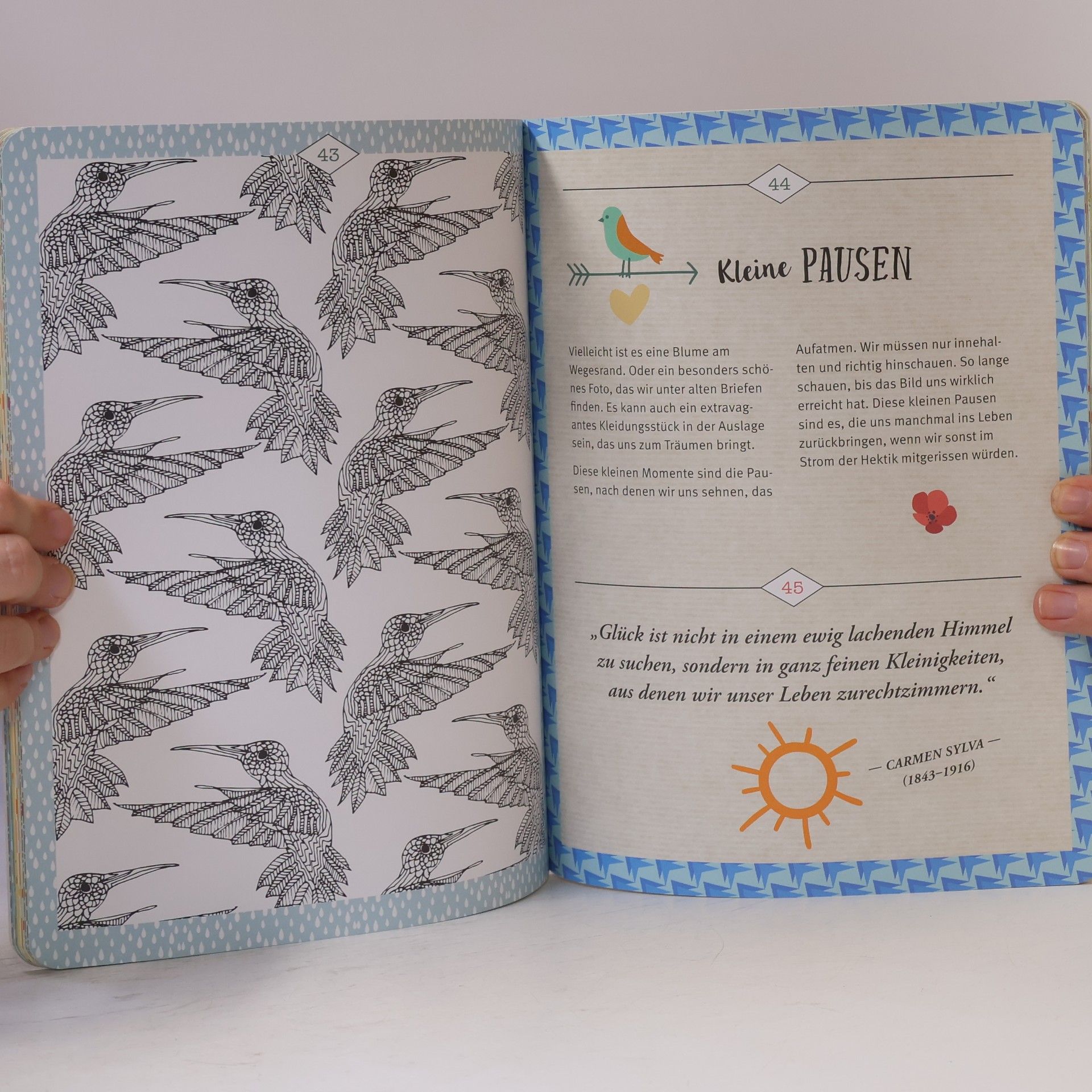 Autorenkollektiv Glücksmomente