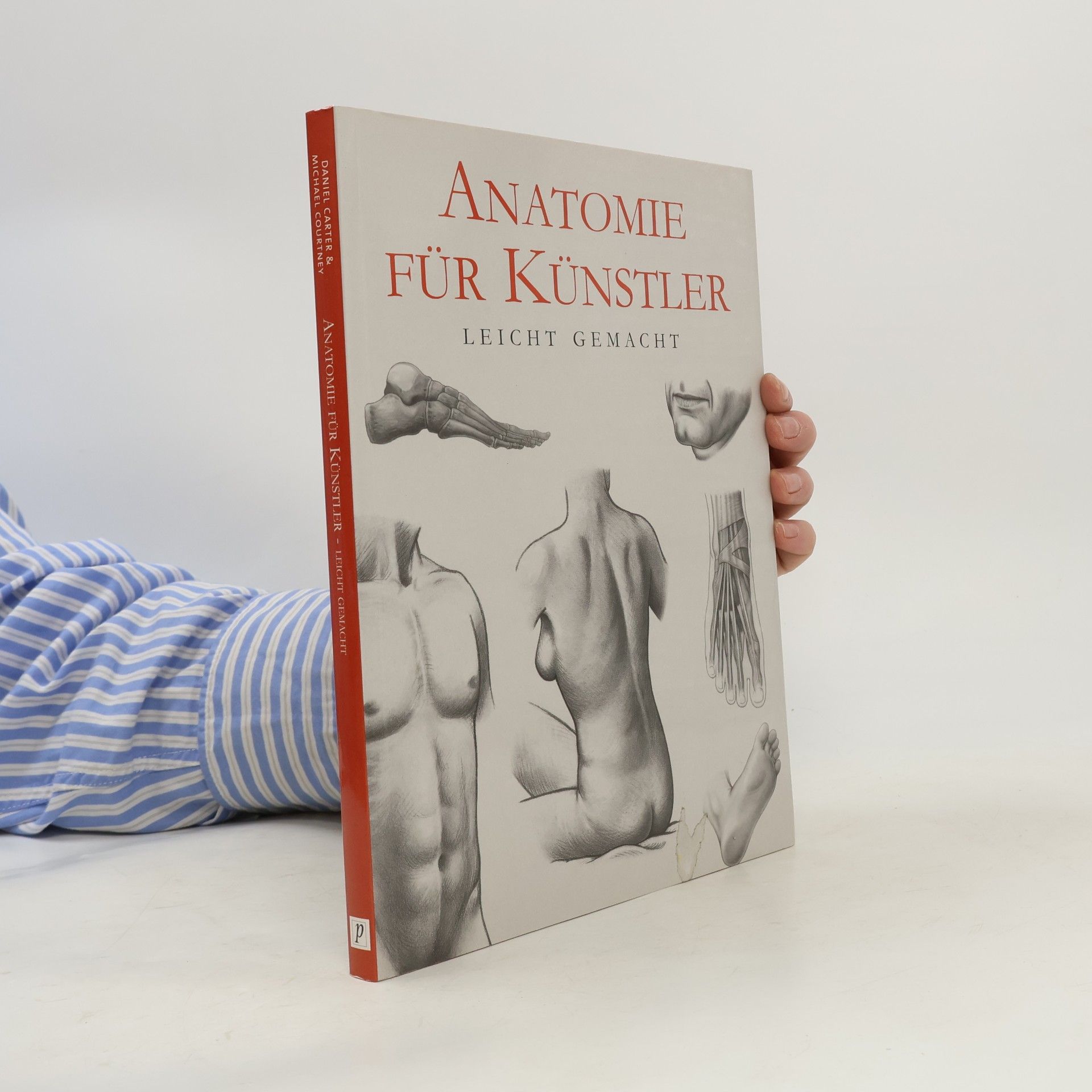 Daniel Carter Anatomie für Künstler