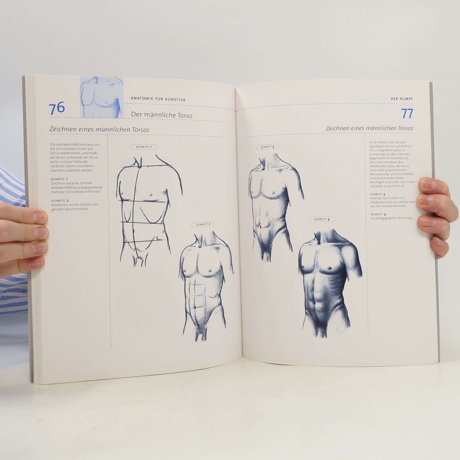 Daniel Carter Anatomie für Künstler