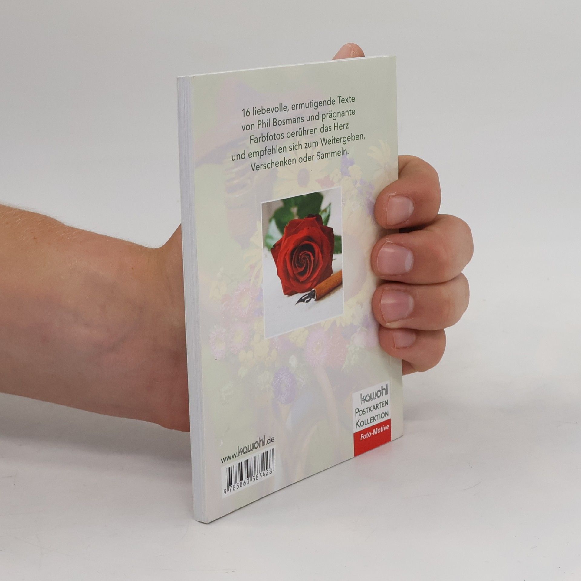 Phil Bosmans Gute Worte für deinen Tag. Postkarten-Buch