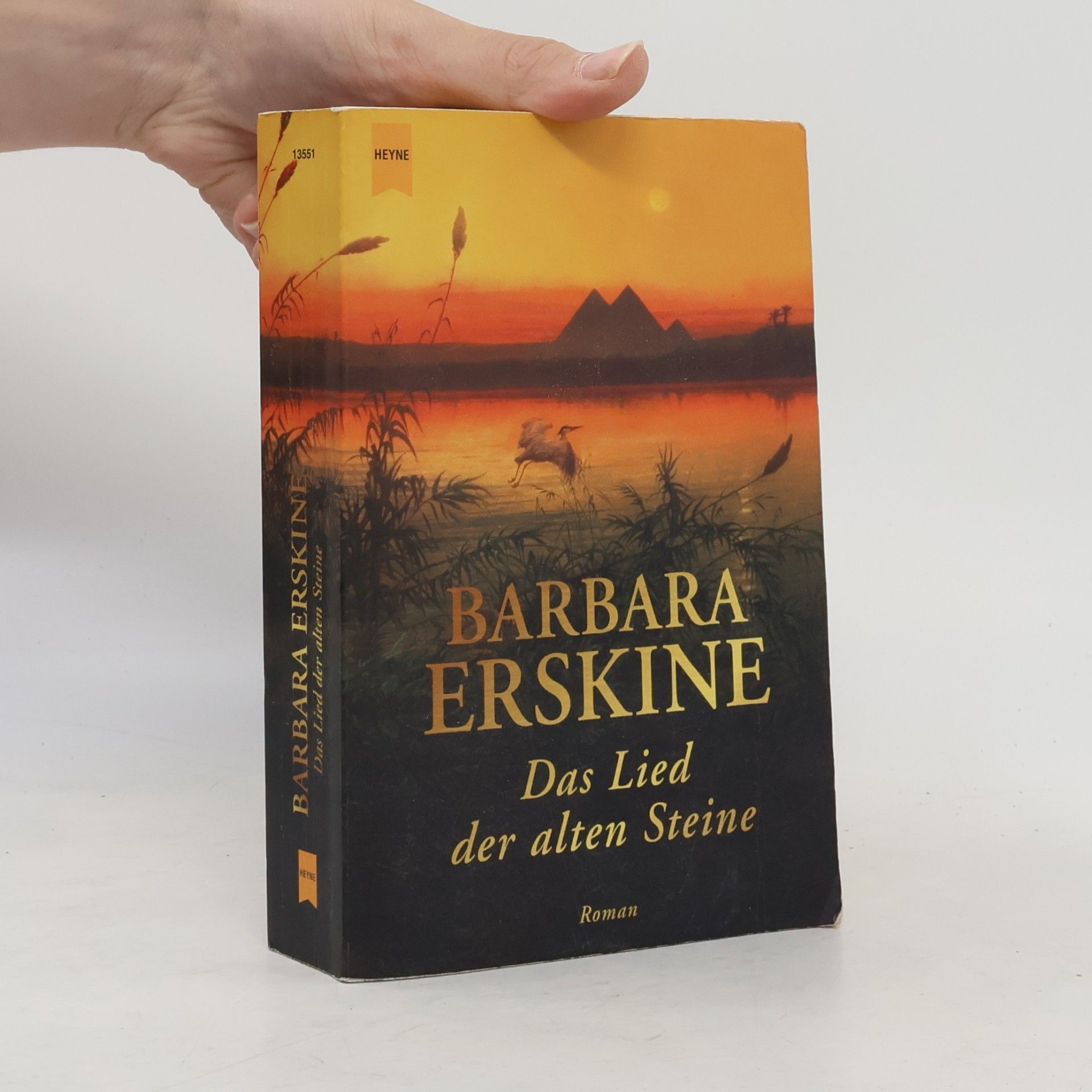 Barbara Erskine Das Lied der alten Steine
