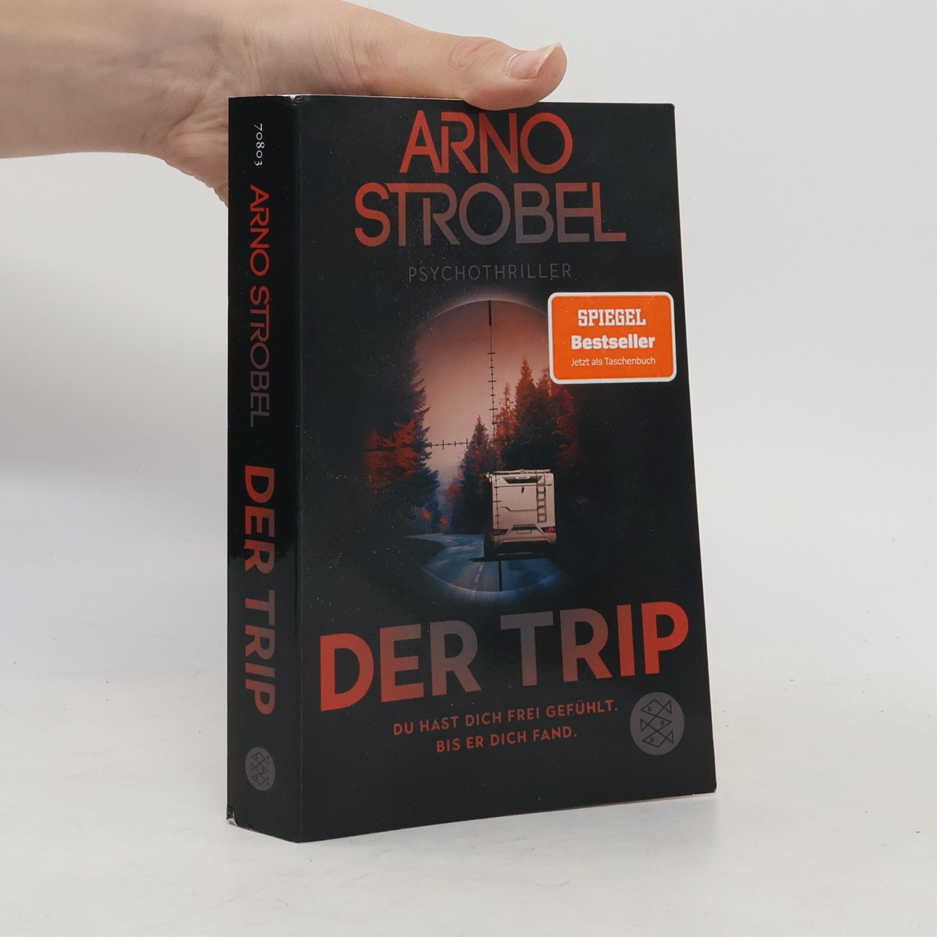 Arno Strobel Der Trip