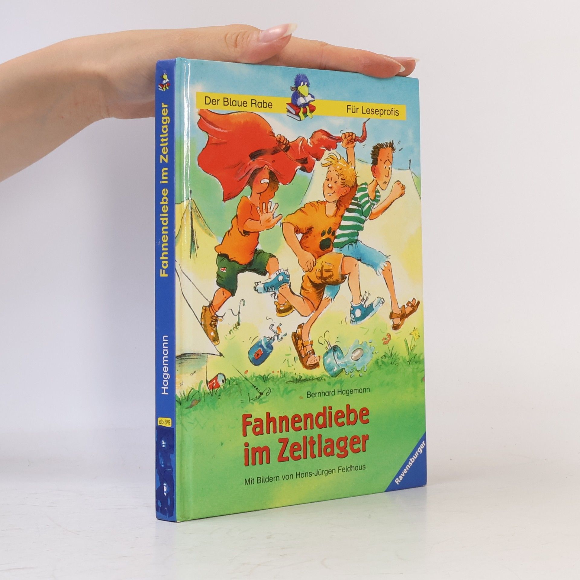 Fahnendiebe im Zeltlager