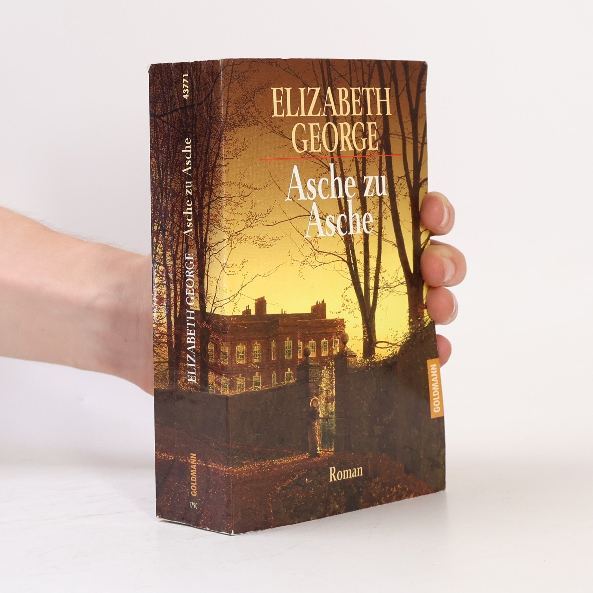 Elizabeth George Asche zu Asche