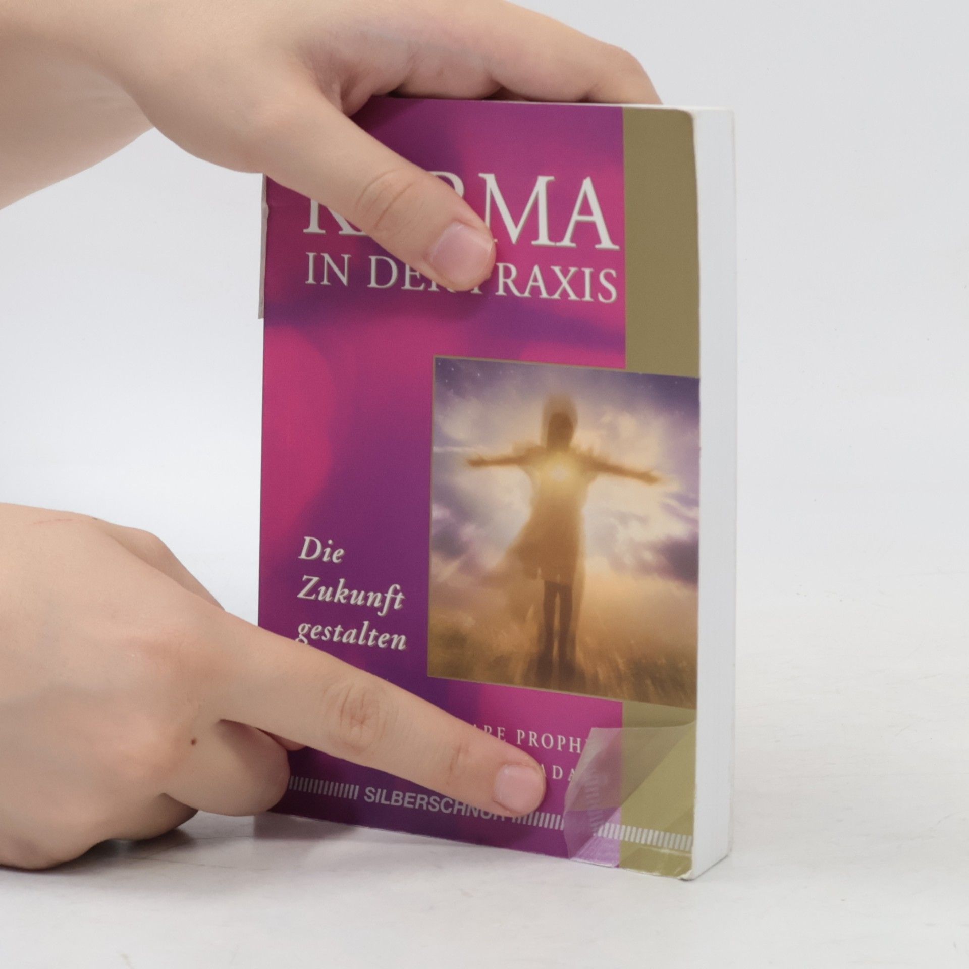 Elizabeth Clare Prophet Karma in der Praxis