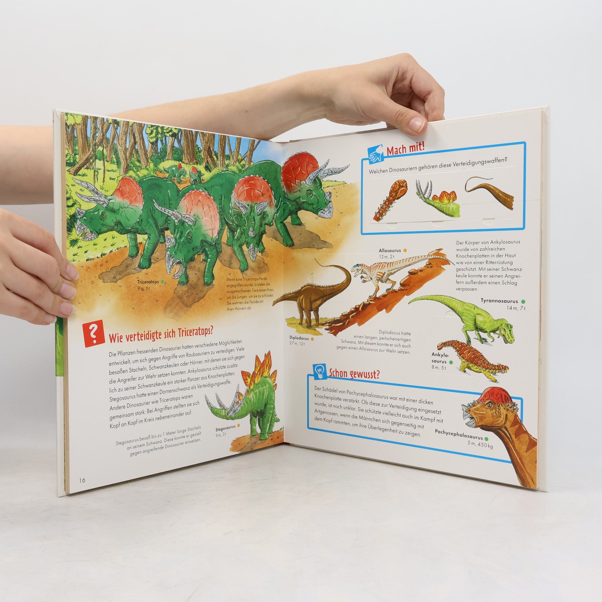 Max Walther Dinosaurier