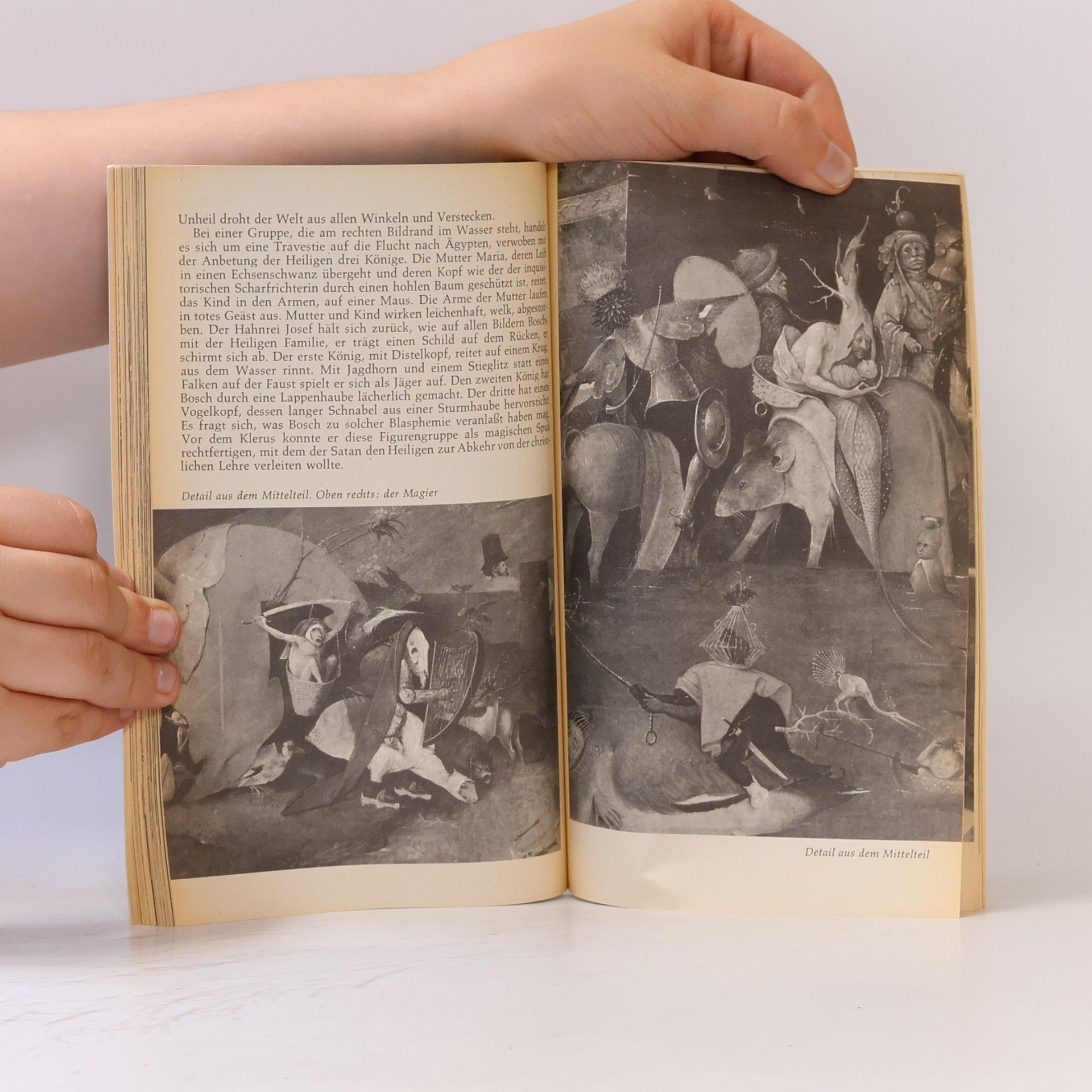 Heinrich Goertz Hieronymus Bosch in Selbstzeugnissen und Bilddokumenten