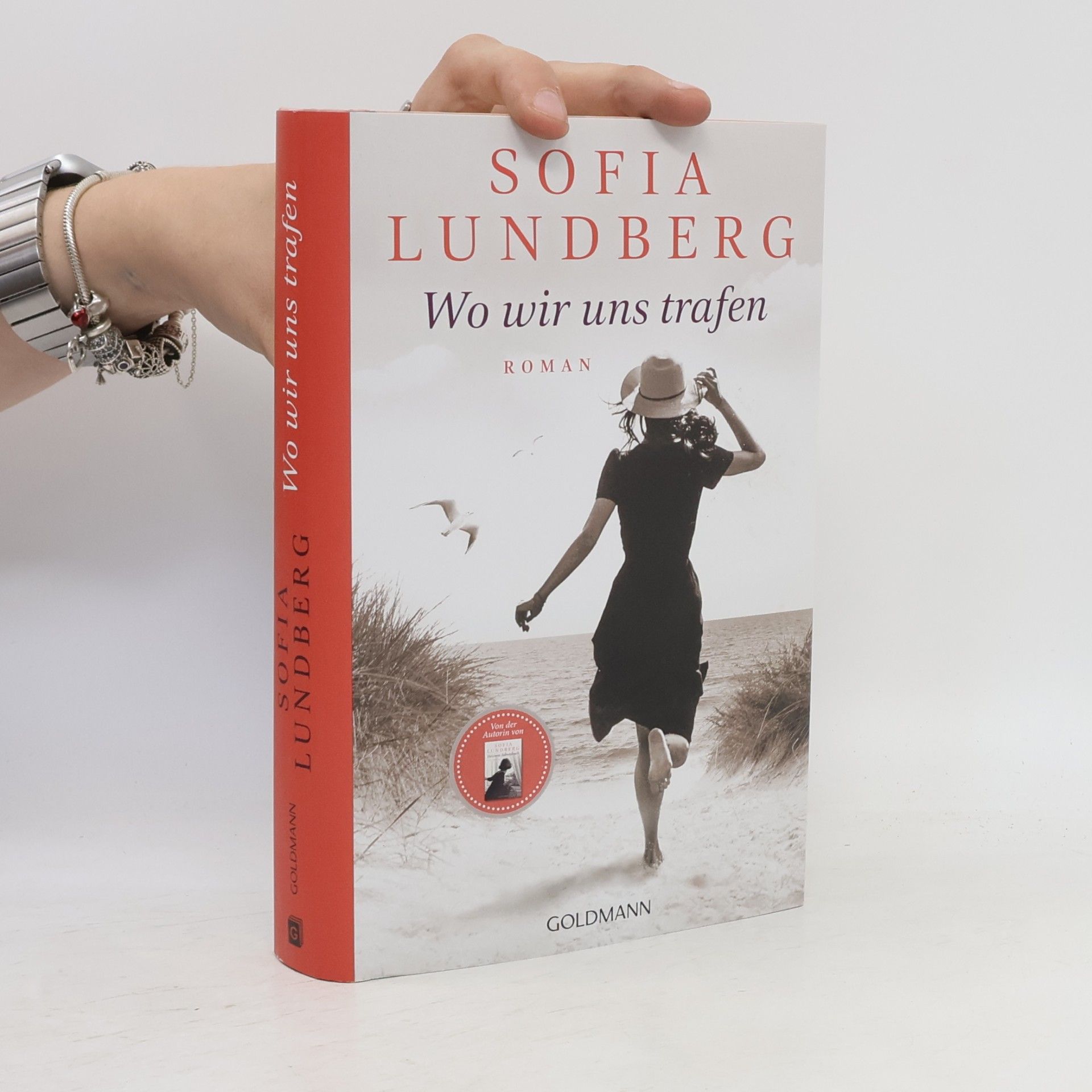 Sofia Lundberg Wo wir uns trafen