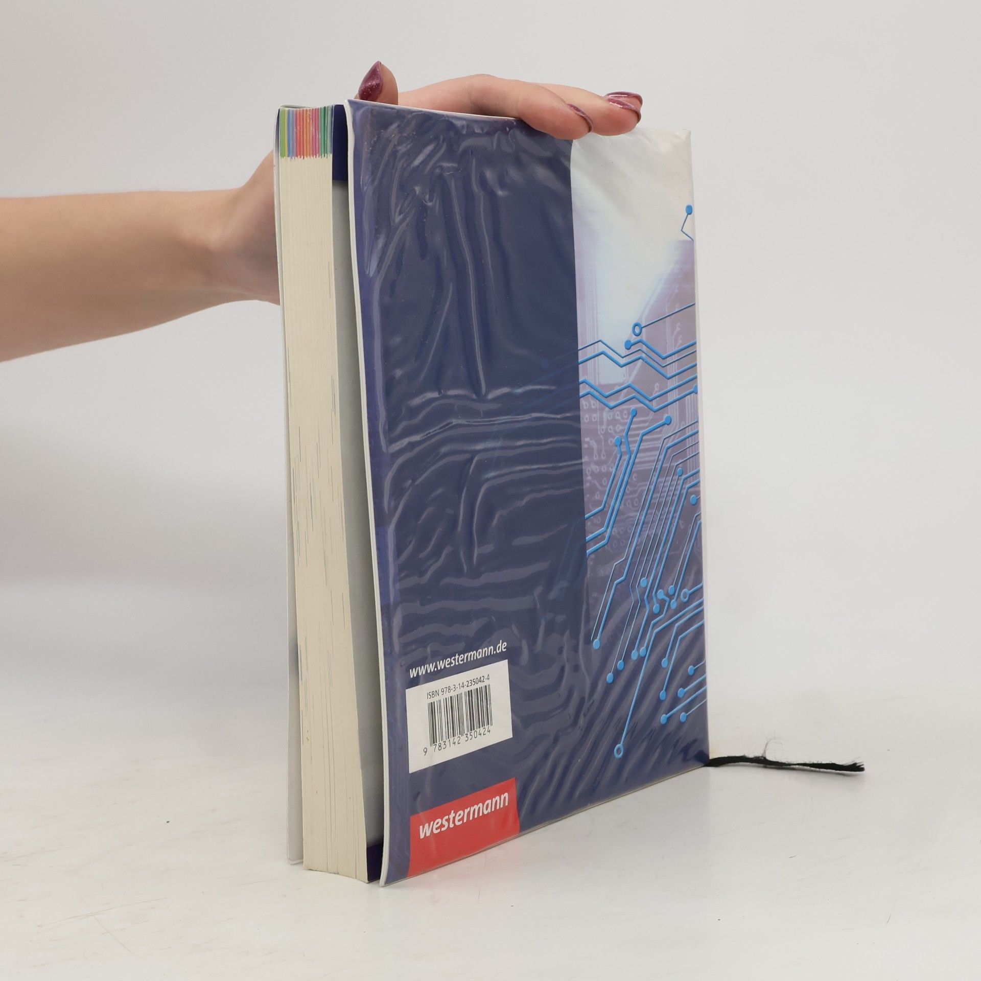 Klaus Richter IT-Handbuch IT-Systemelektroniker/-in, Fachinformatiker/-in