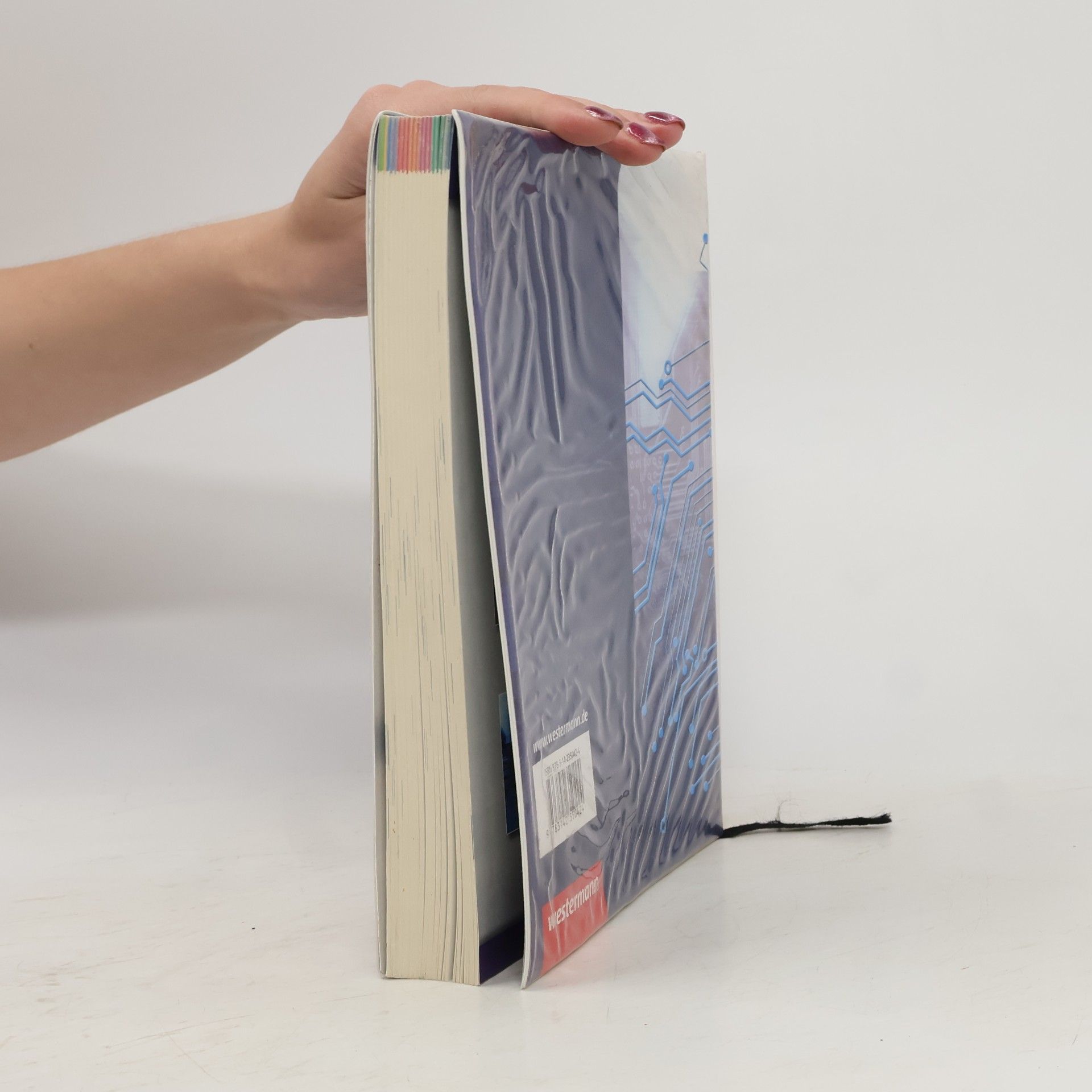 Klaus Richter IT-Handbuch IT-Systemelektroniker/-in, Fachinformatiker/-in