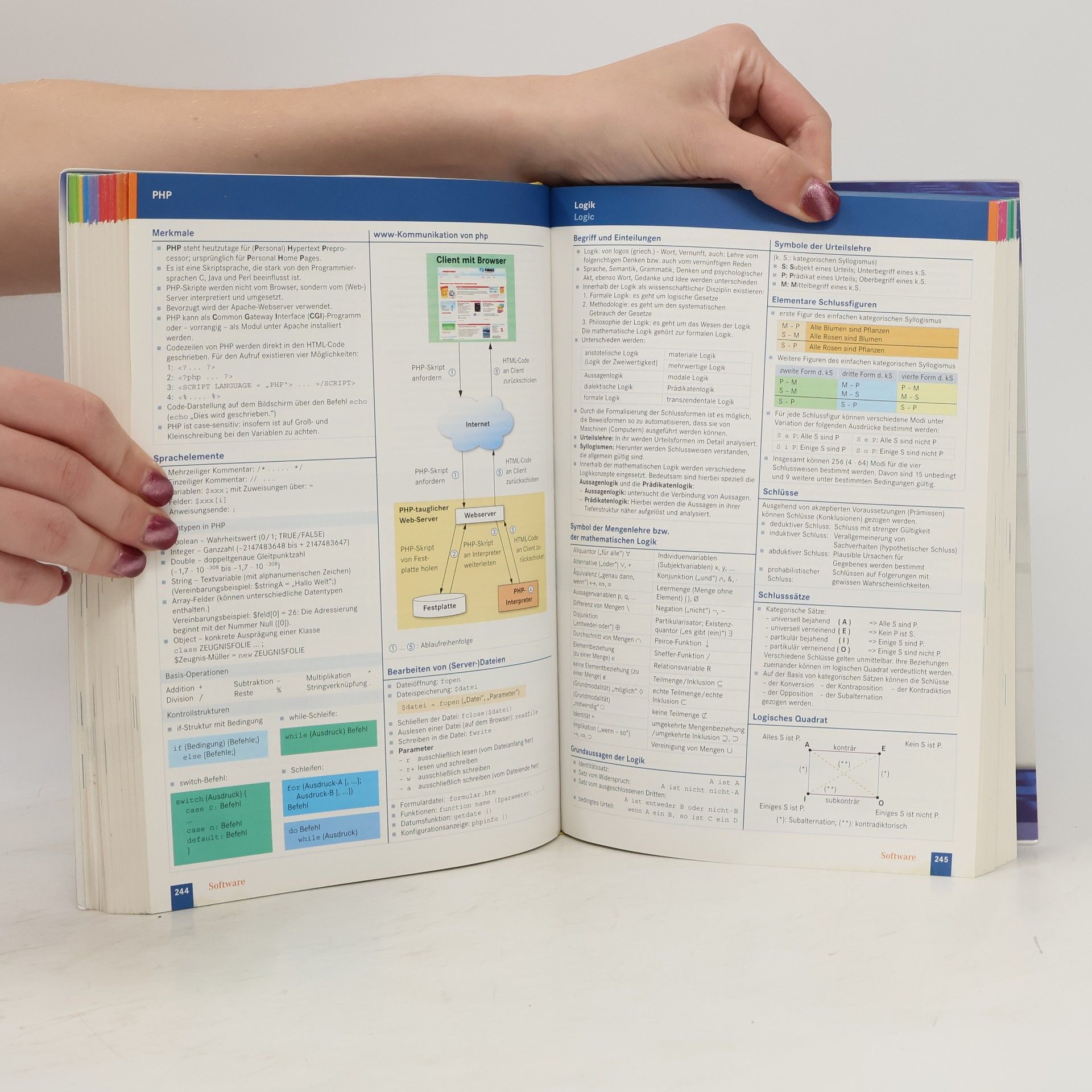 Klaus Richter IT-Handbuch IT-Systemelektroniker/-in, Fachinformatiker/-in