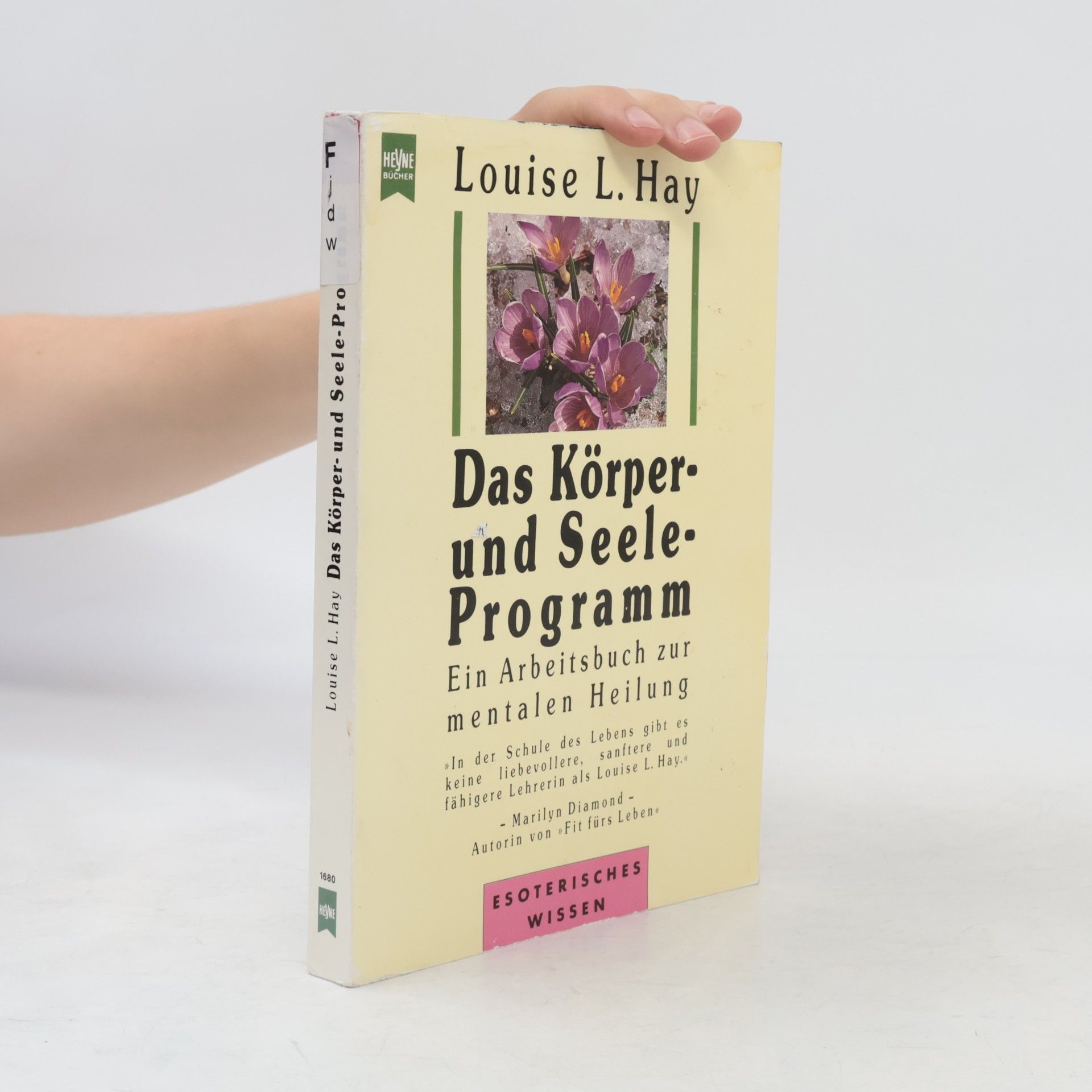 Louise Lynn Hay Das Körper- und Seele-Programm