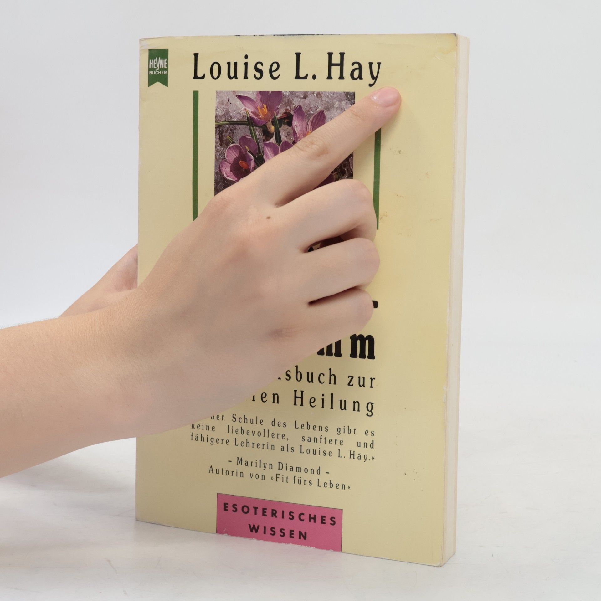 Louise Lynn Hay Das Körper- und Seele-Programm