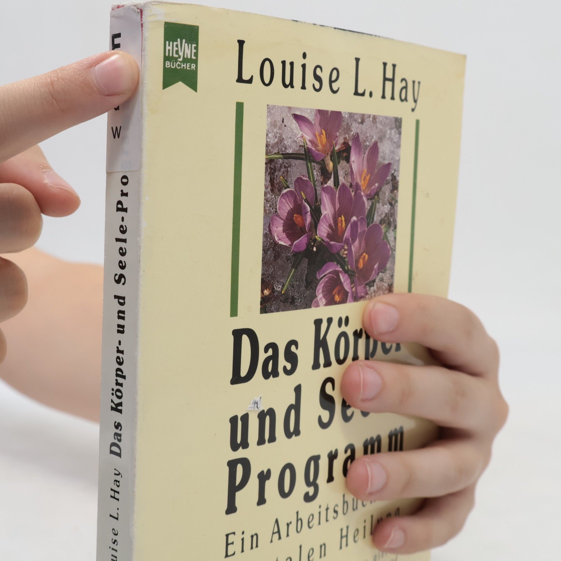 Louise Lynn Hay Das Körper- und Seele-Programm