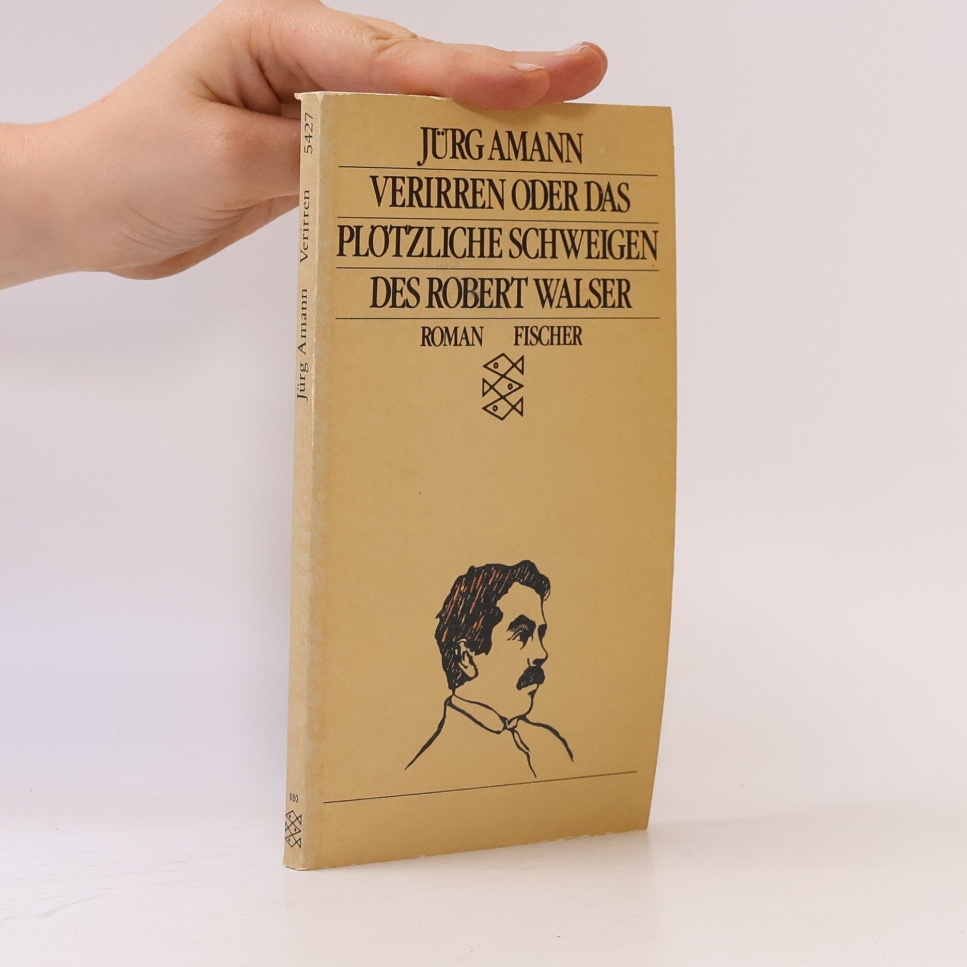 Jürg Amann Verirren, oder, Das plötzliche Schweigen des Robert Walser