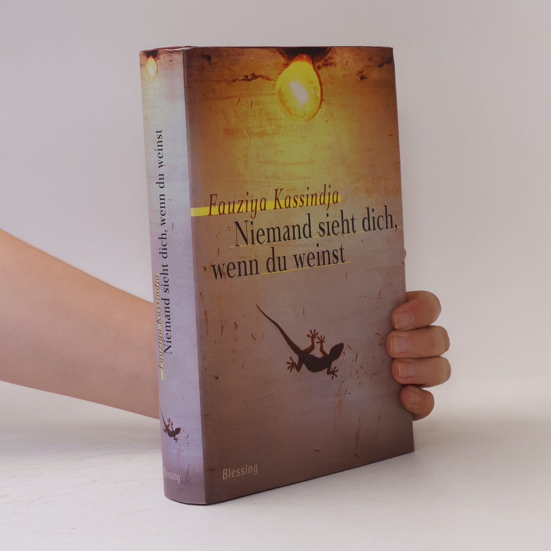 Fauziya Kassindja Niemand sieht dich, wenn du weinst