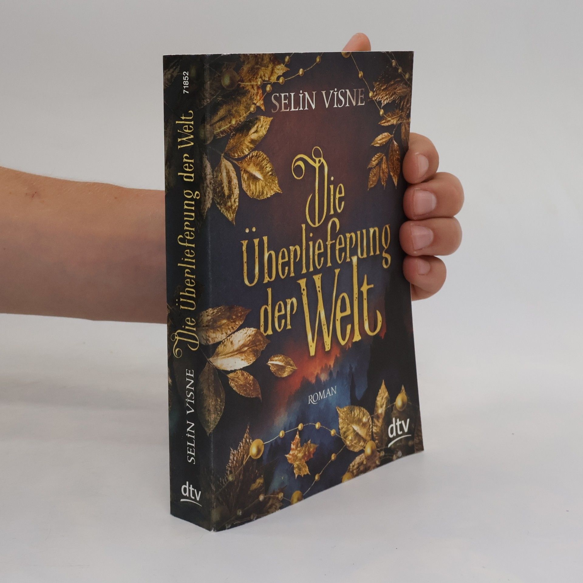Selin Visne Die Überlieferung der Welt