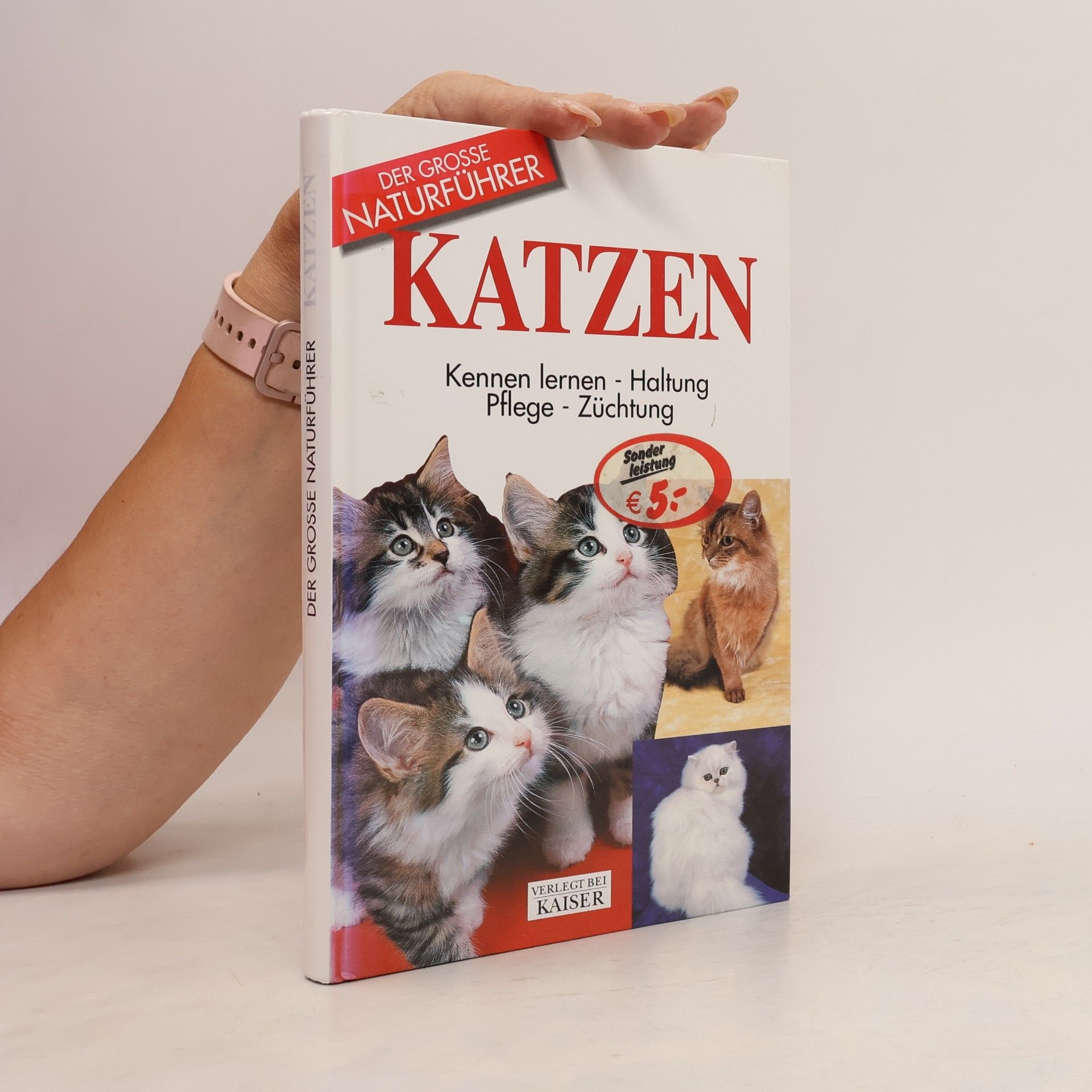 Autorenkollektiv Katzen. Kennen lernen, Haltung, Pflege, Züchtung