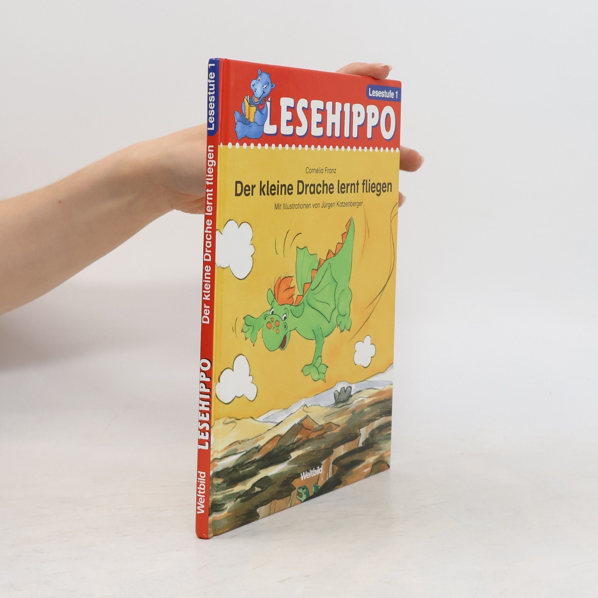 Der kleine Drache lernt fliegen