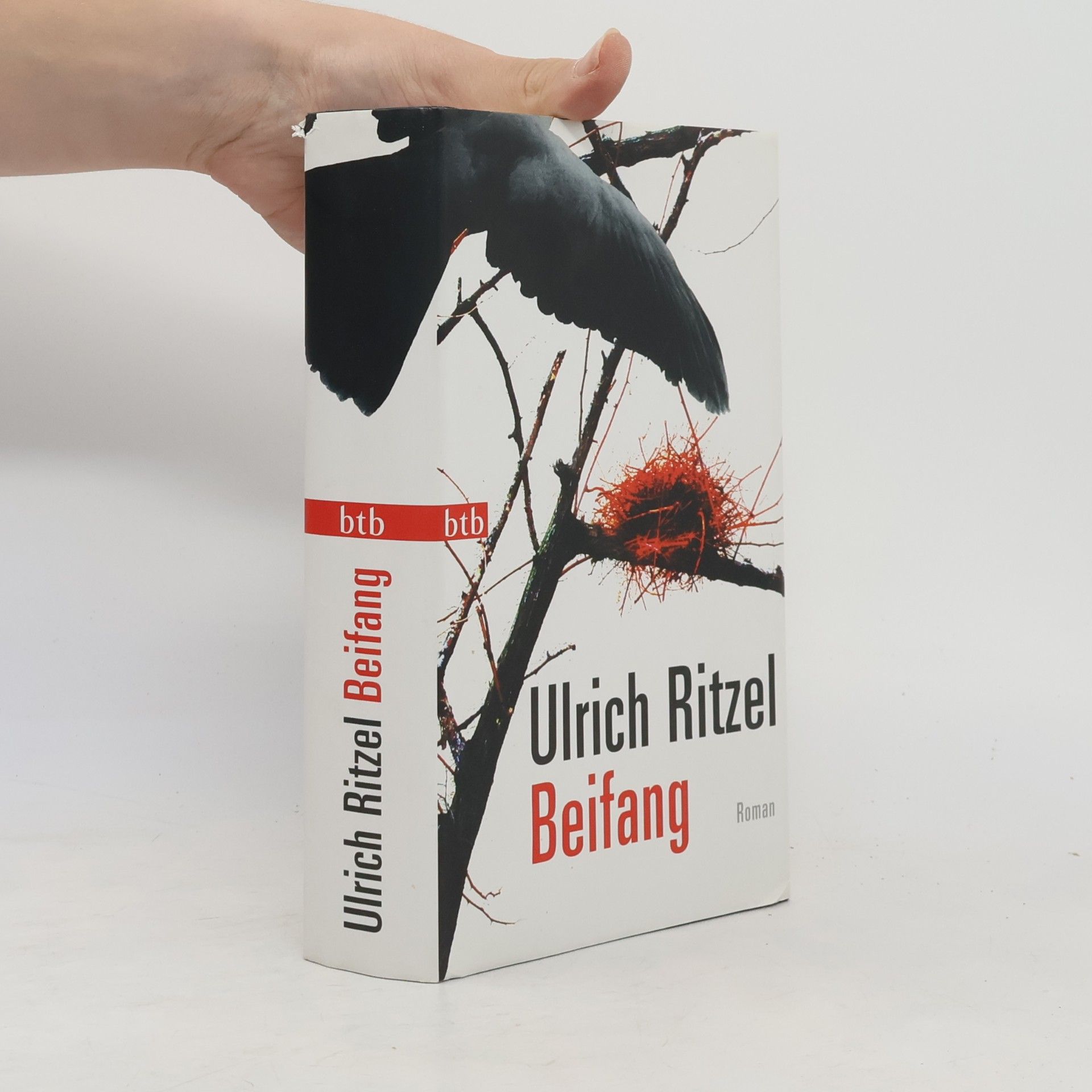 Ulrich Ritzel Beifang