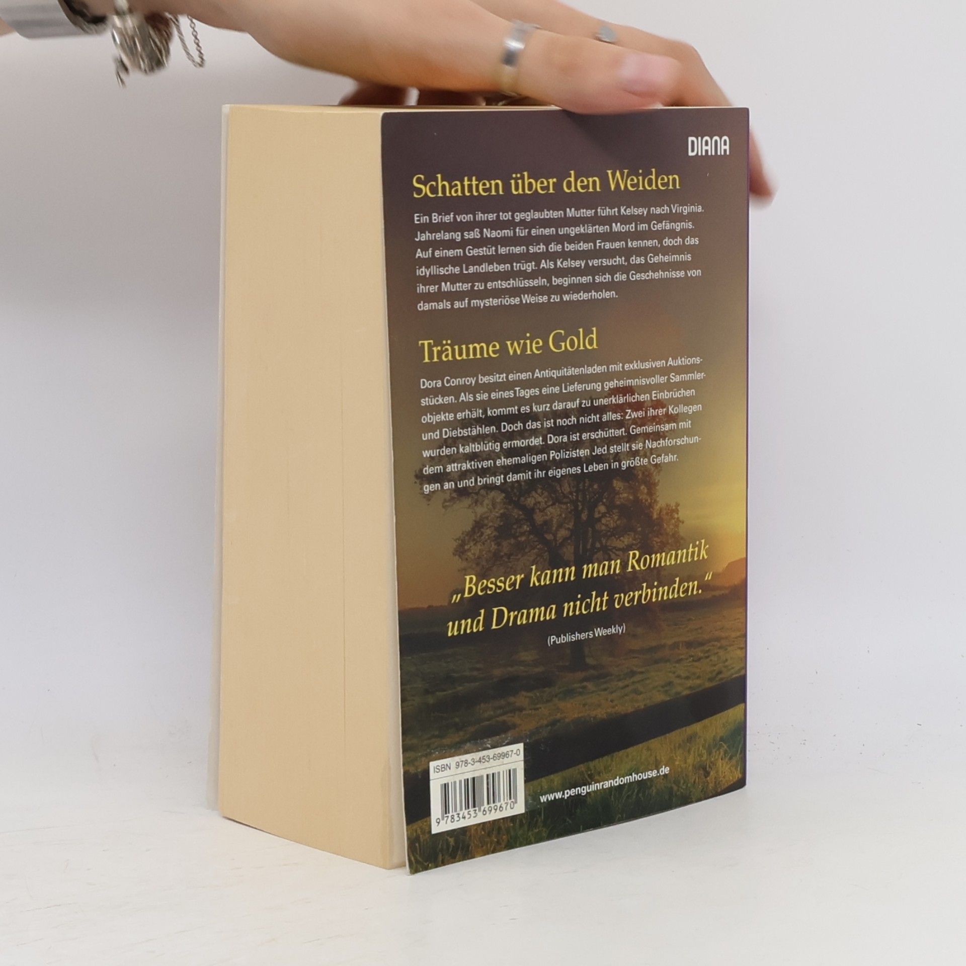 Nora Roberts Schatten über den Weiden. Träume wie Gold