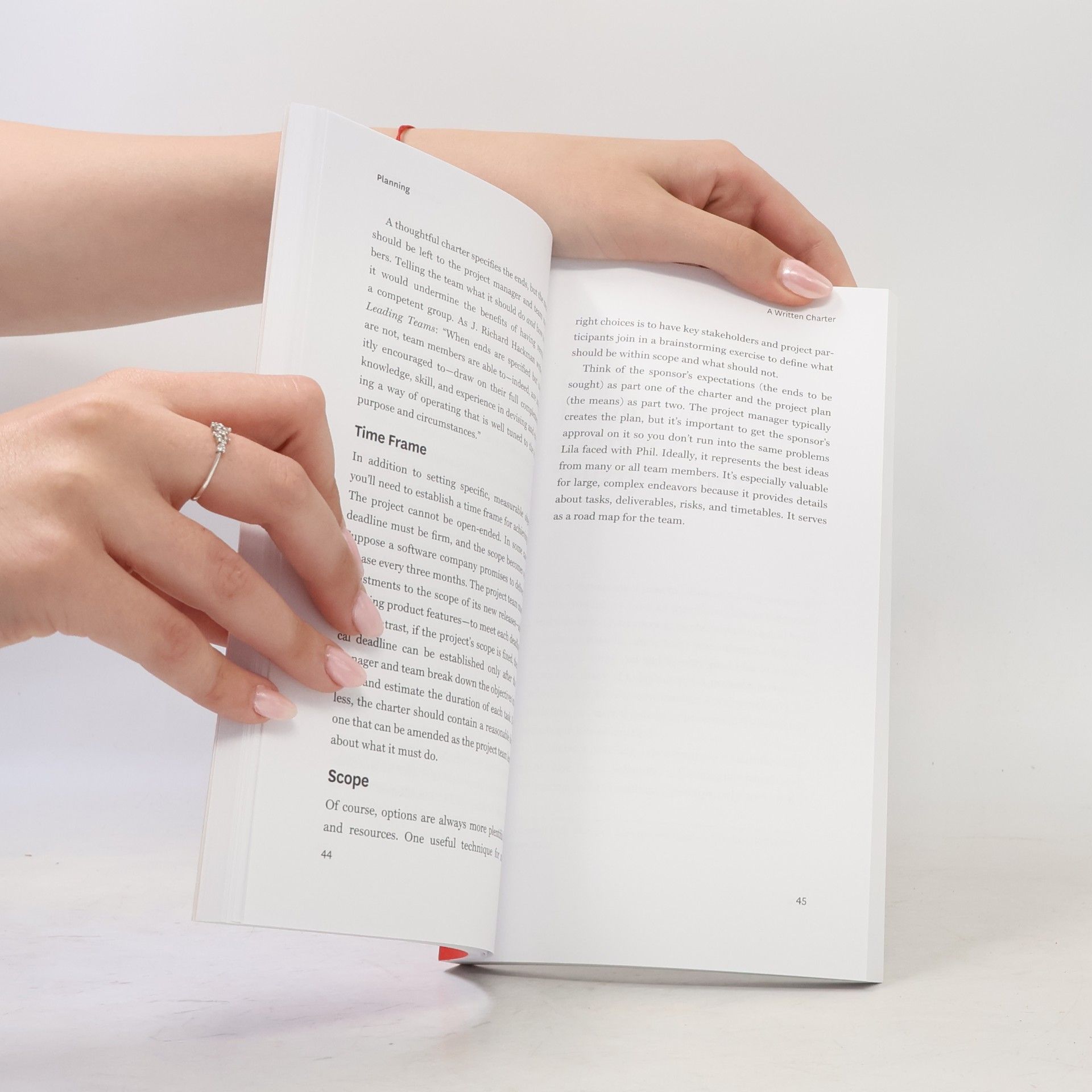 Autorenkollektiv HBR Guide to Project Management