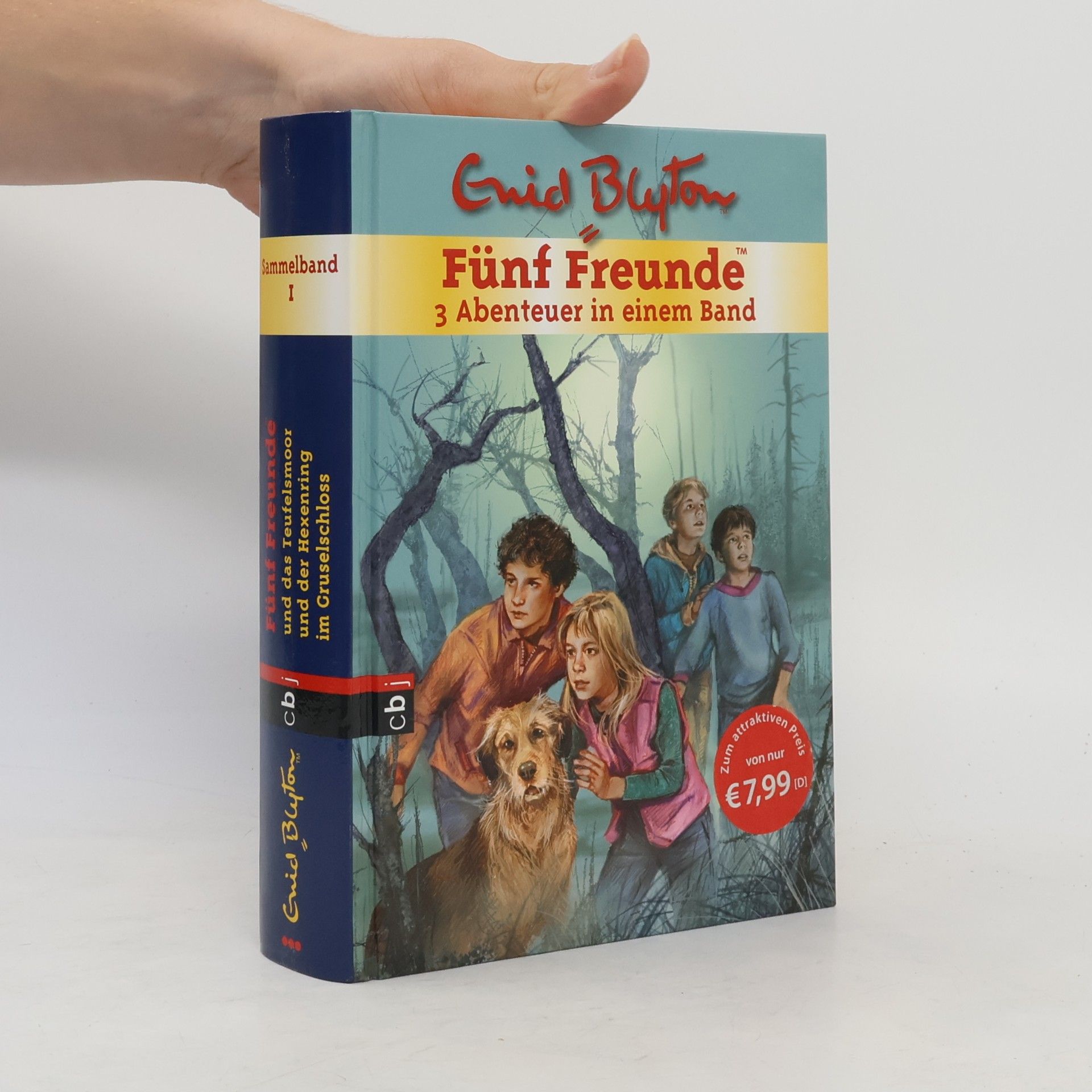 Enid Blyton Sammelband 1. Fünf Freunde. 3 Abenteuer in einem Band