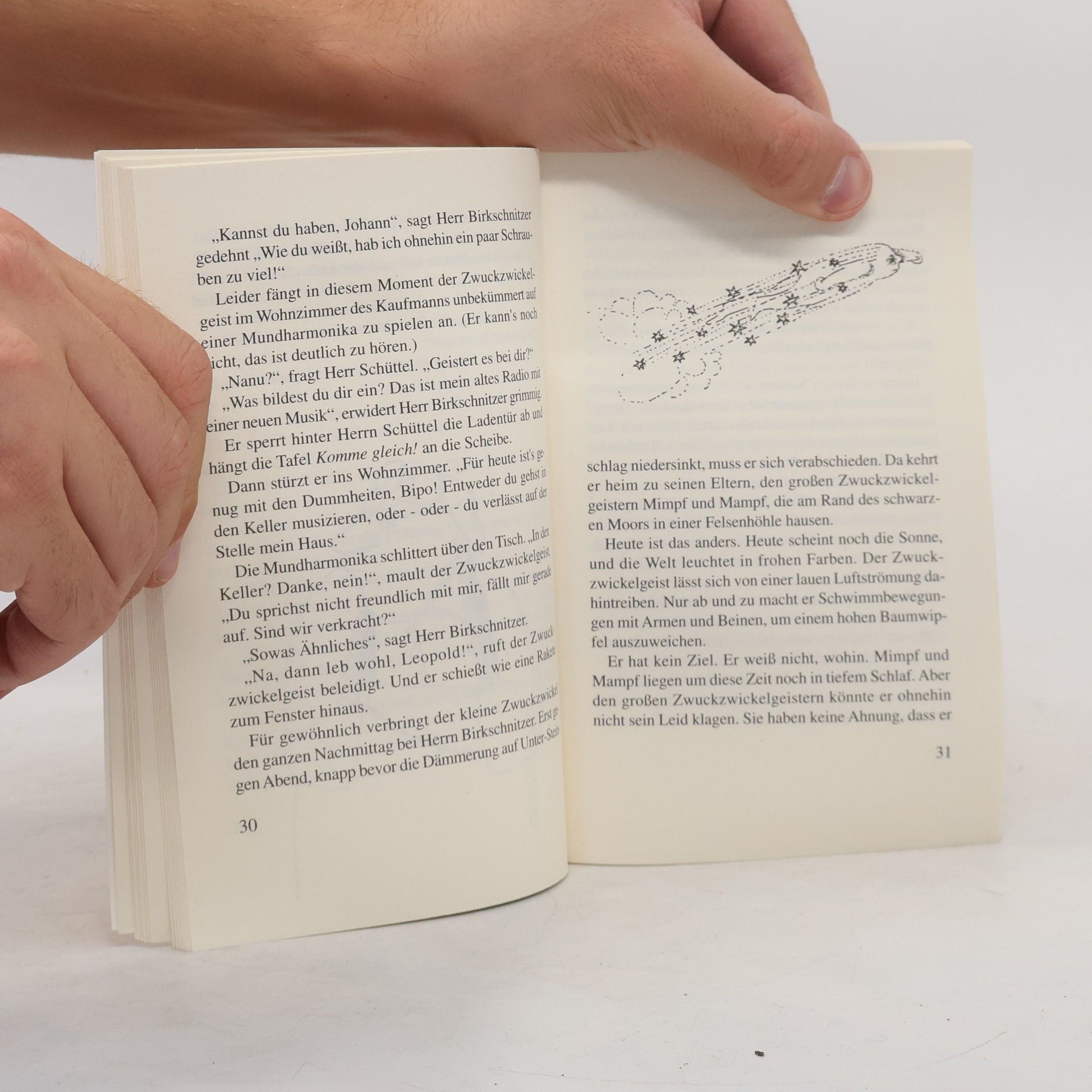 Vera Ferra-Mikura Mein grün gestreiftes Geisterbuch
